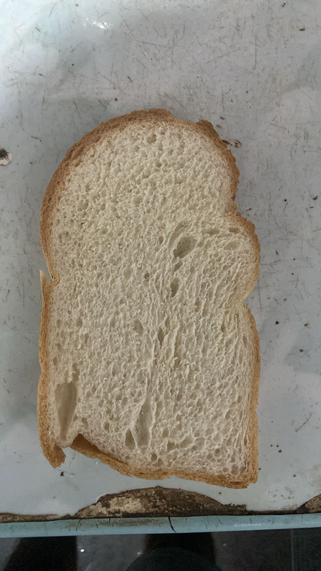 Plain White Bread Slice