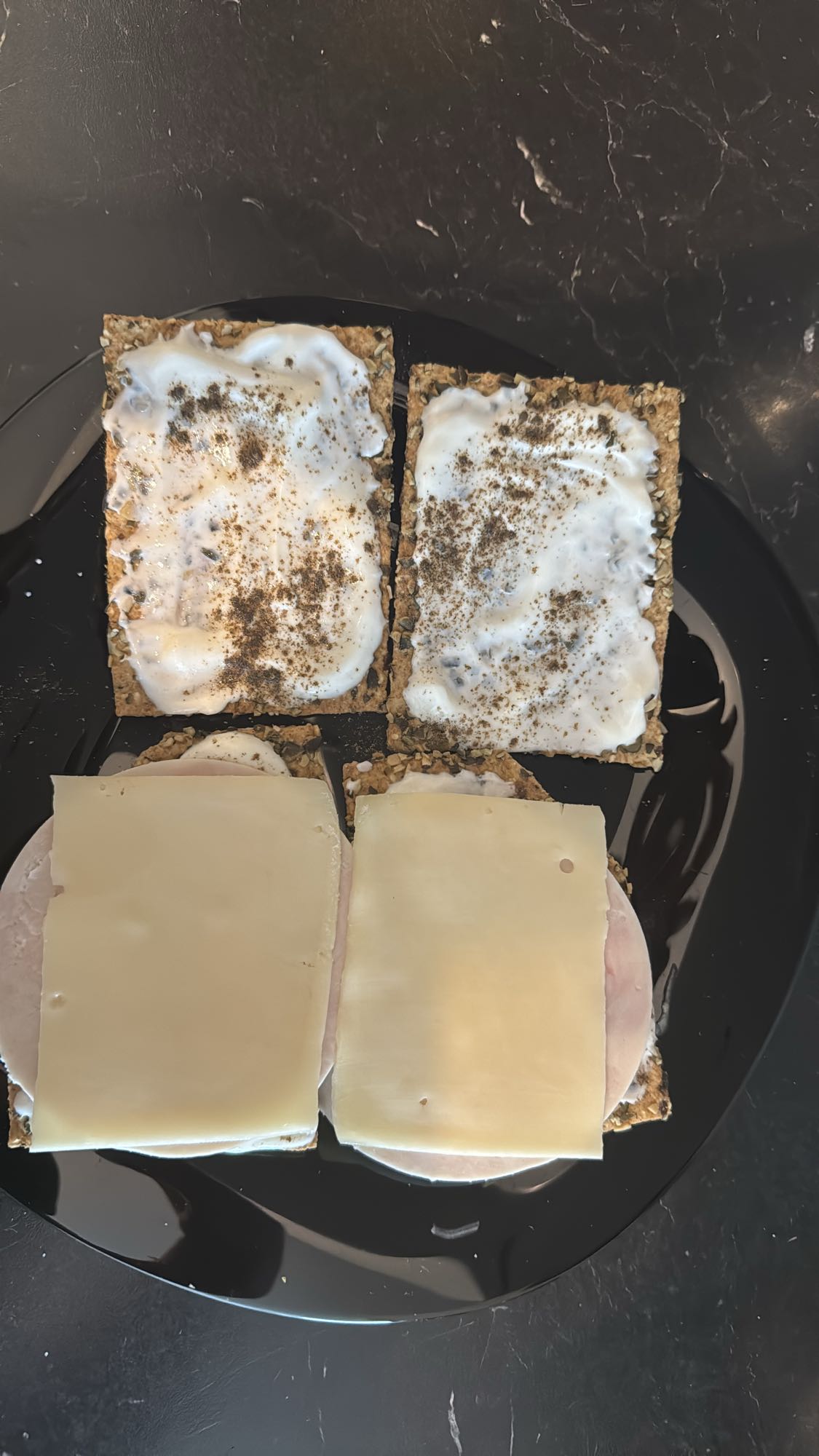 Protein Knäckebrot mit Yourgut light