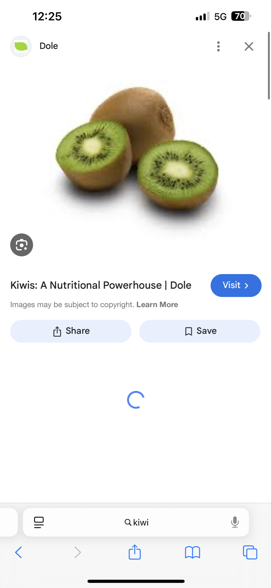 Fresh Kiwi Fruit