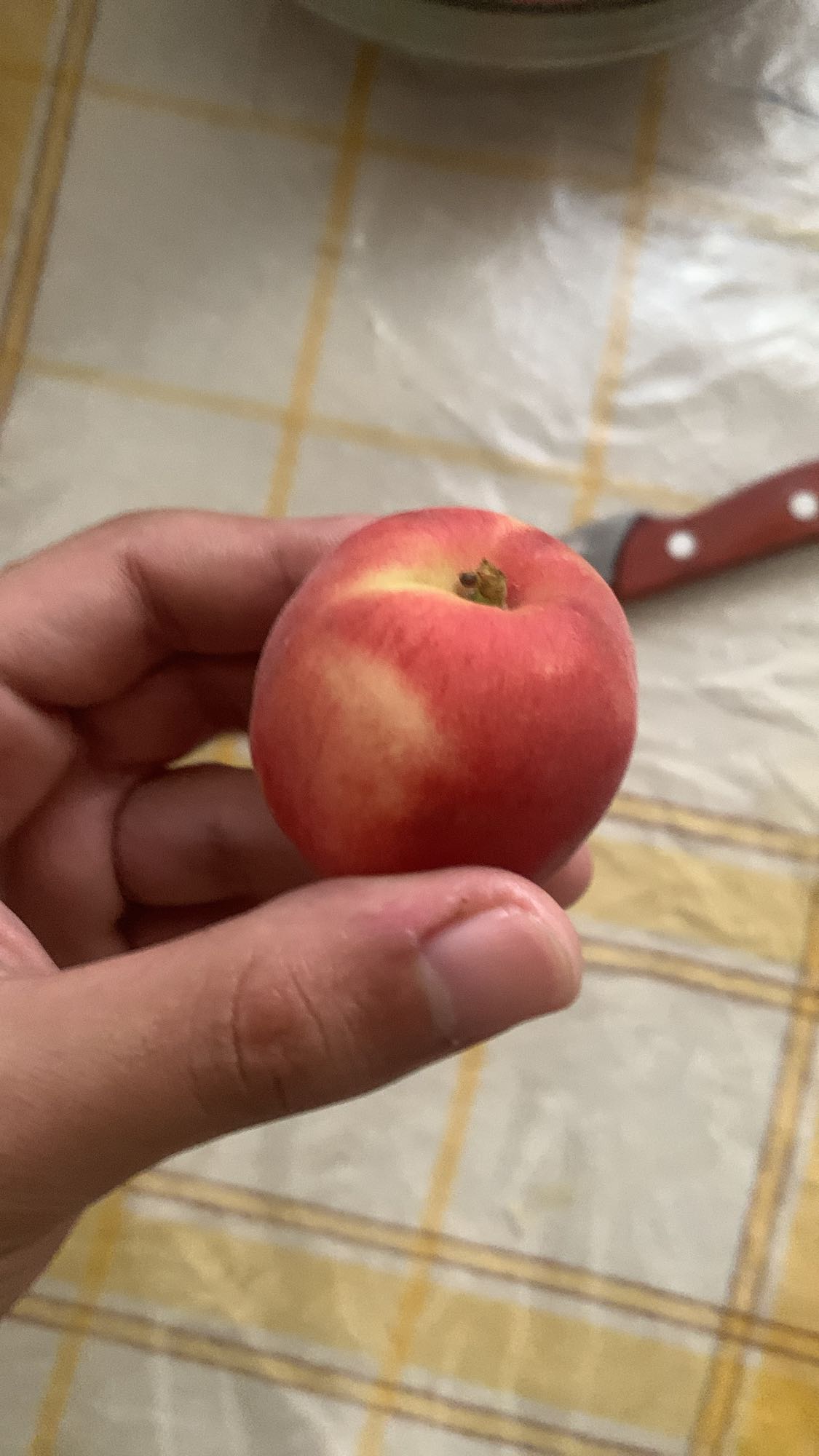 Pêche fraîche