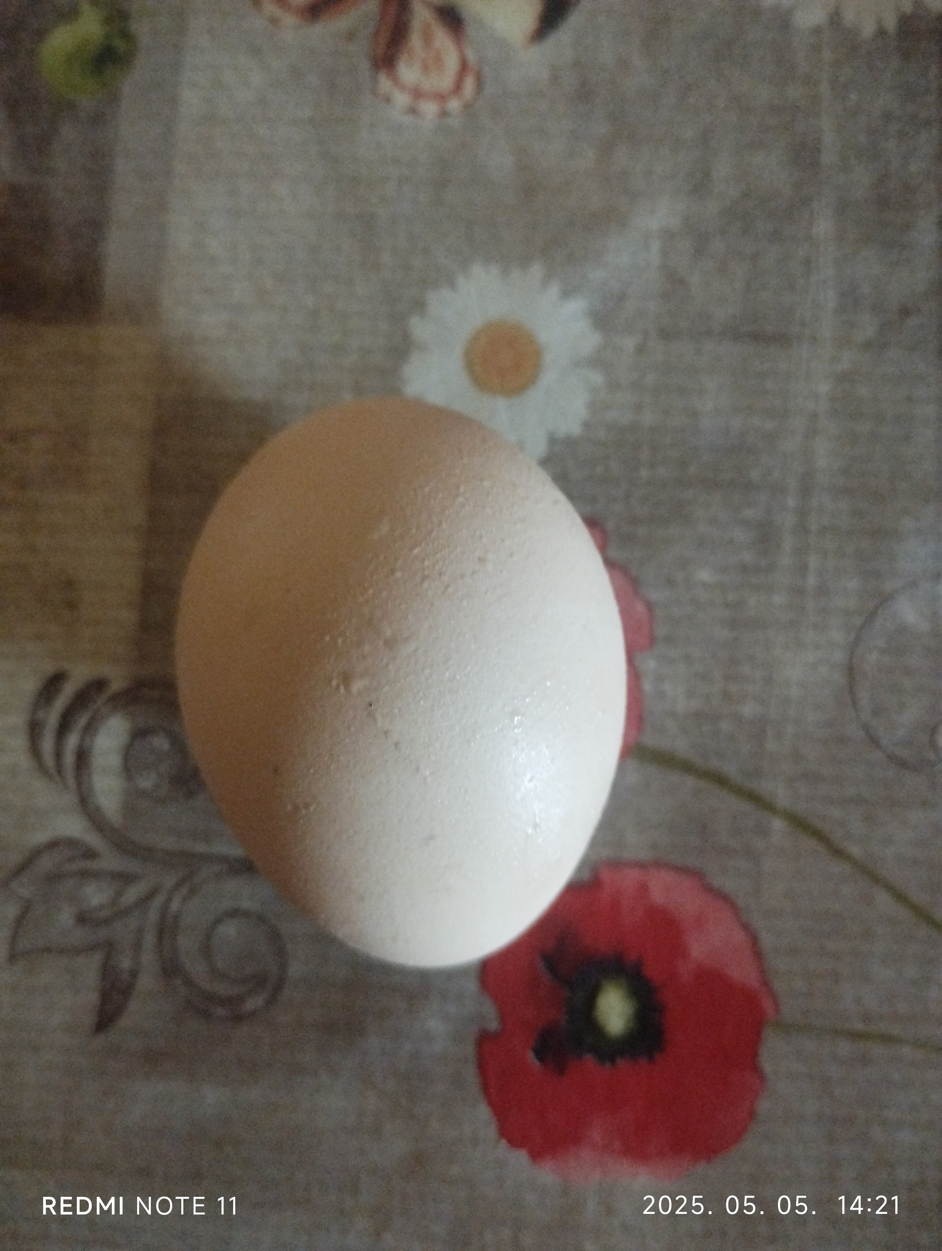Boiled Egg