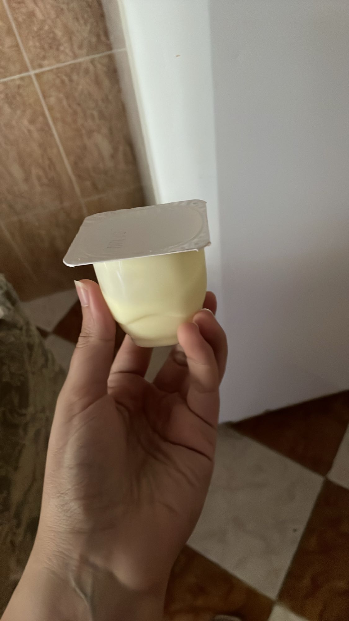 Crème dessert vanille