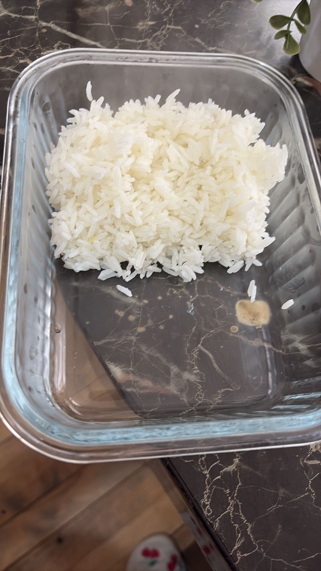 Plain White Rice