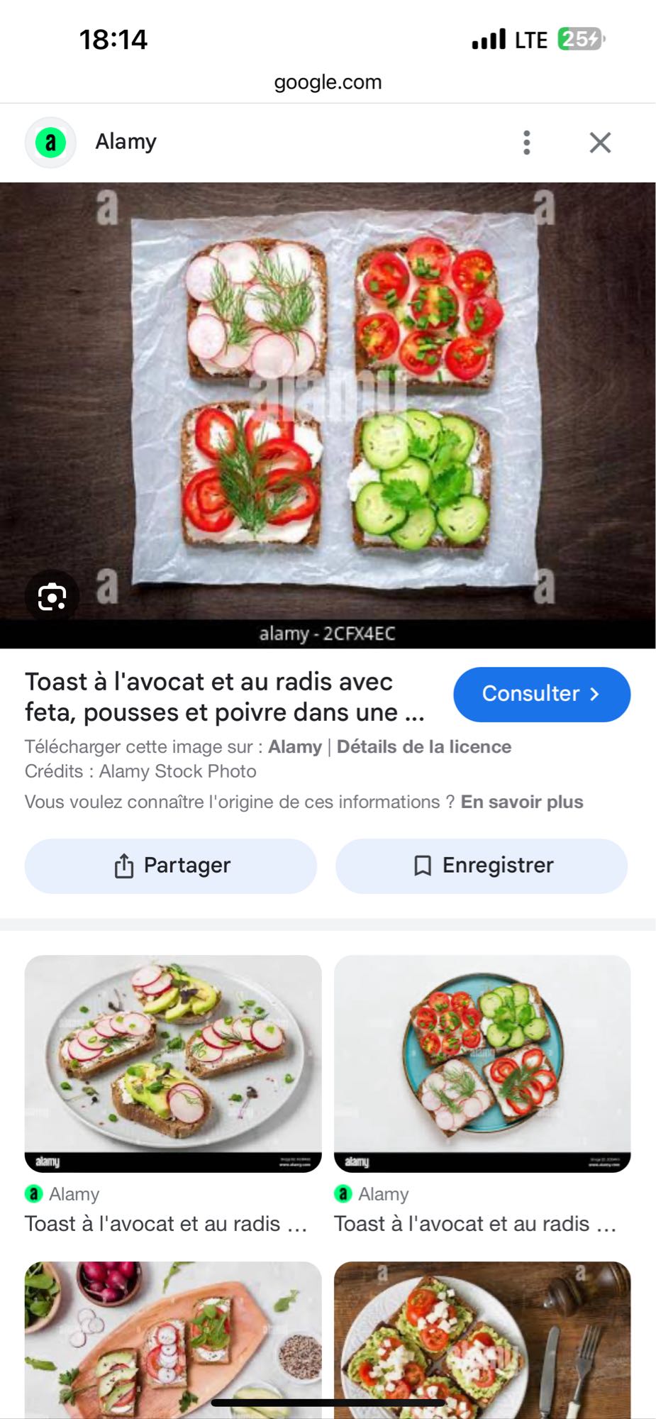 Toasts légumes frais