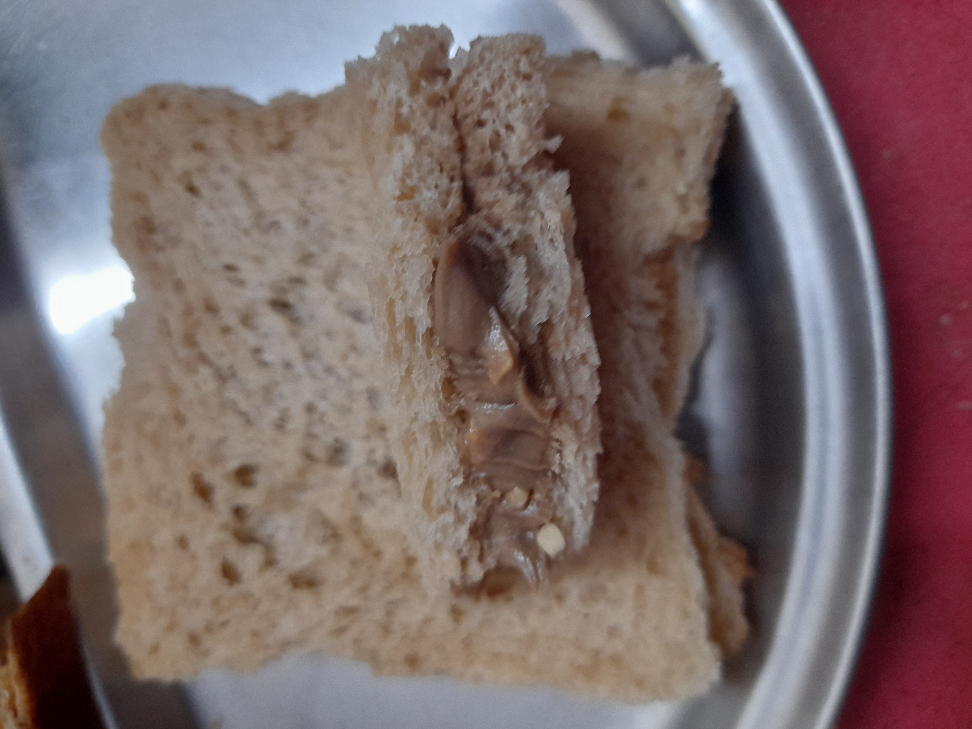 Peanut Butter Sandwich