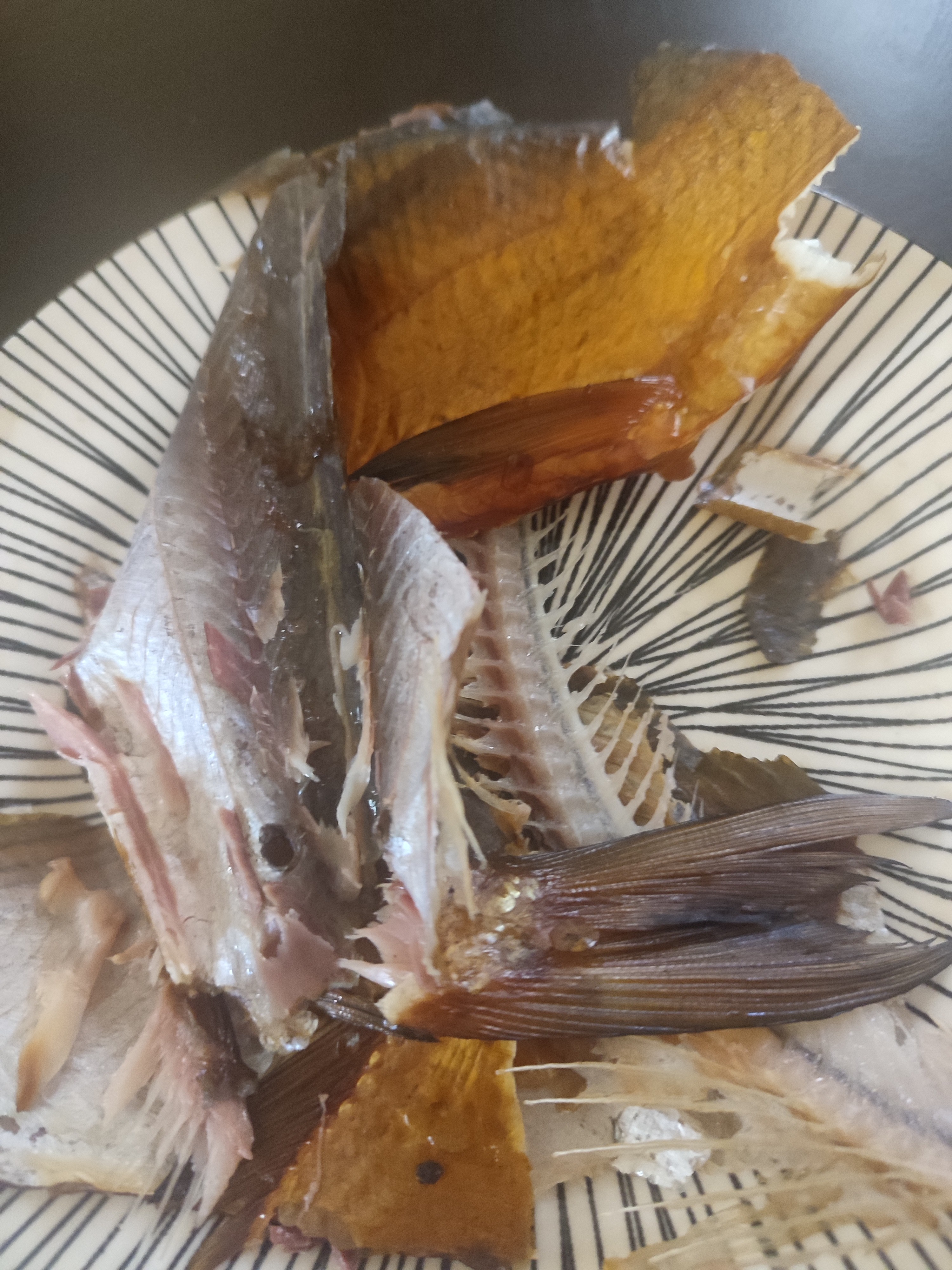 Grilled Fish Remains