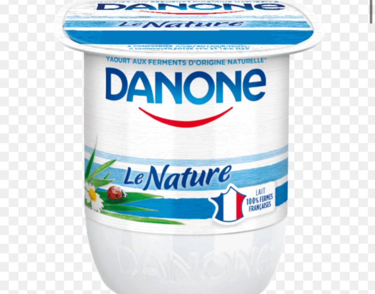 Yaourt nature Danone
