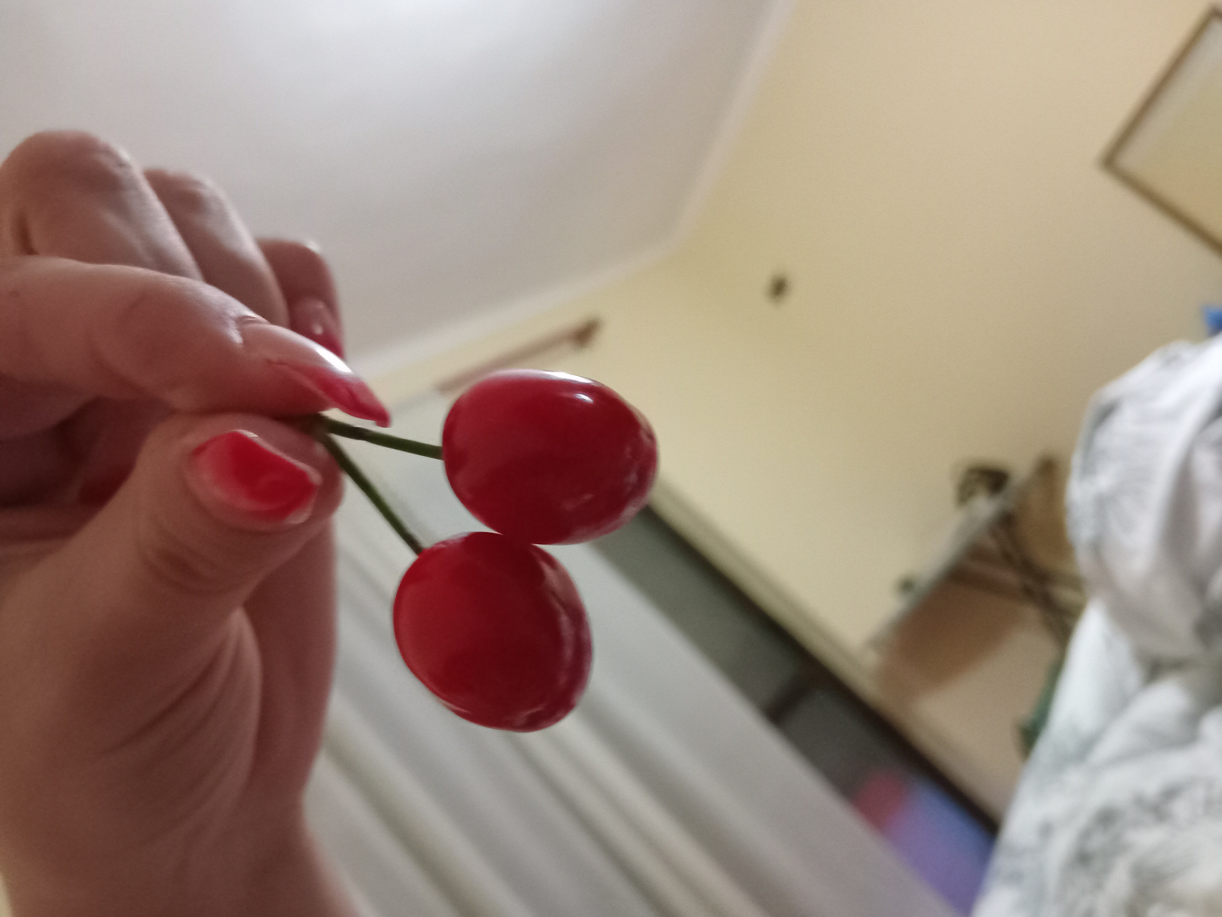 Fresh Cherries