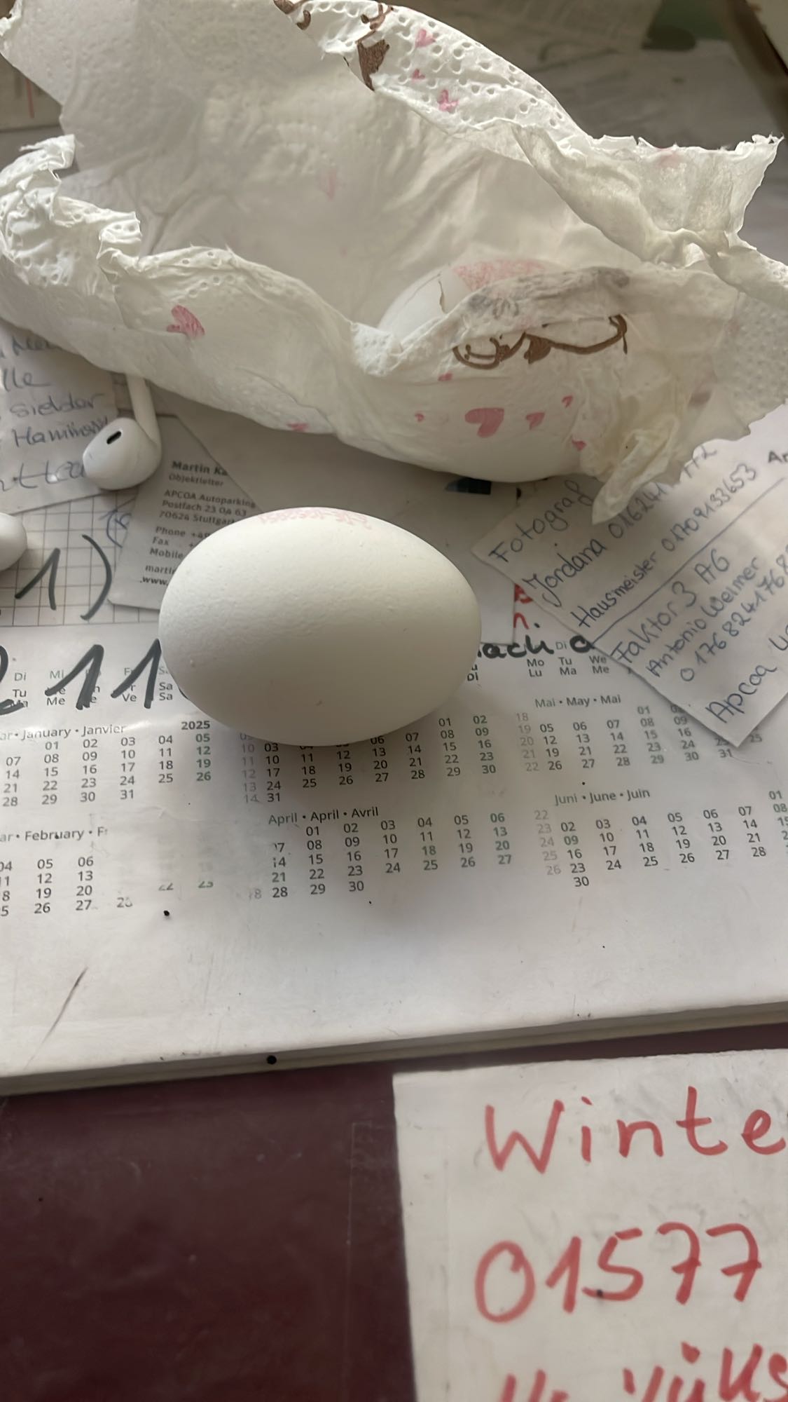 Hard boiled egg