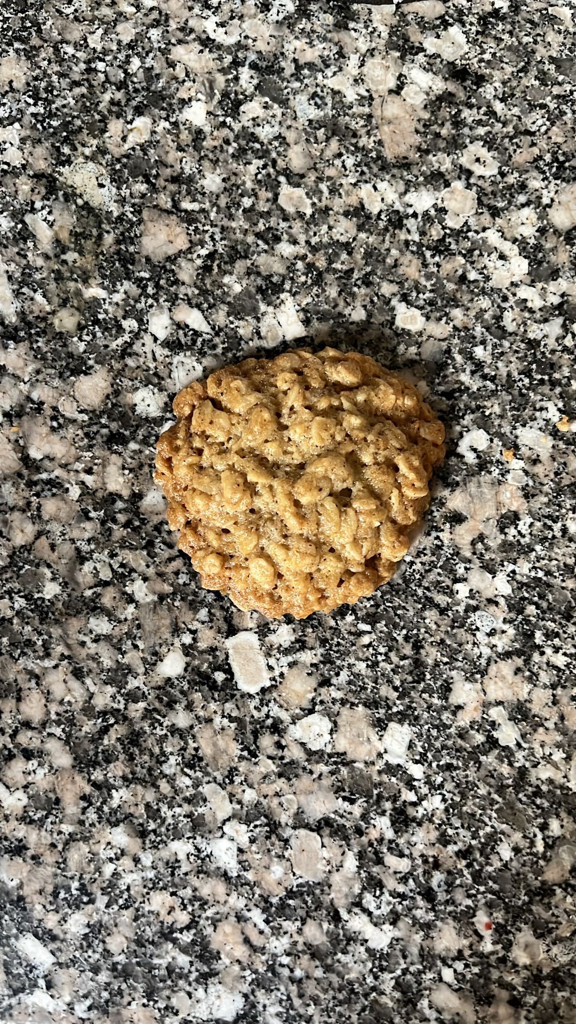 Oatmeal Cookie