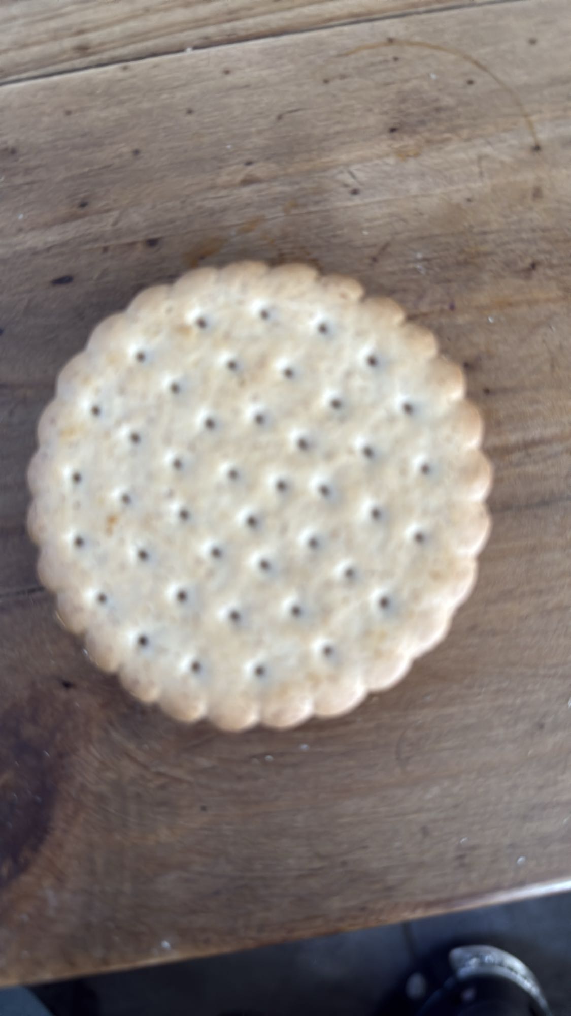 Biscuit salé simple