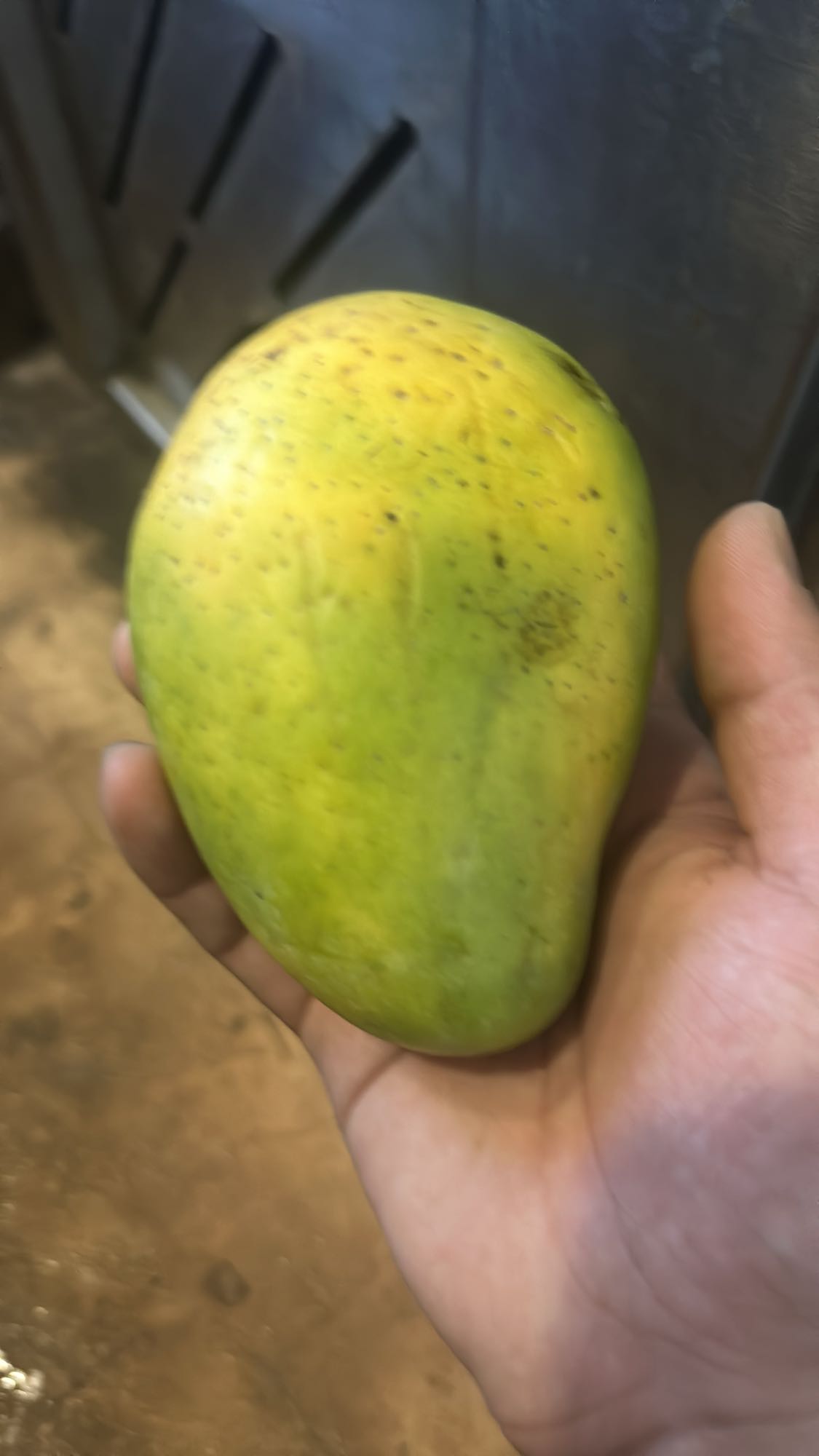Whole Mango