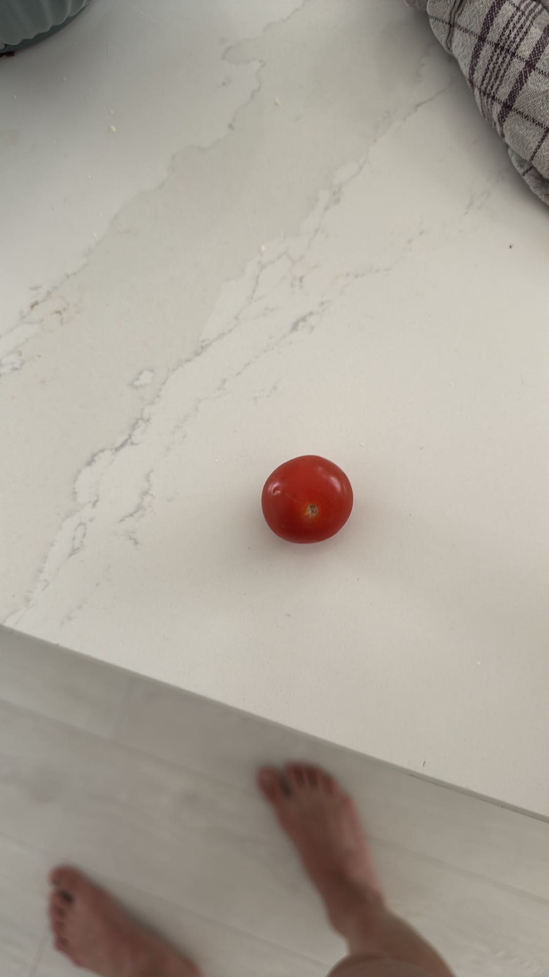 Single Cherry Tomato