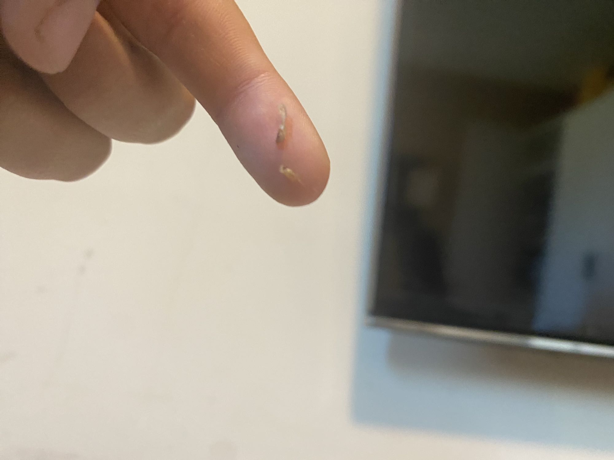 Onbekend voedselrestje