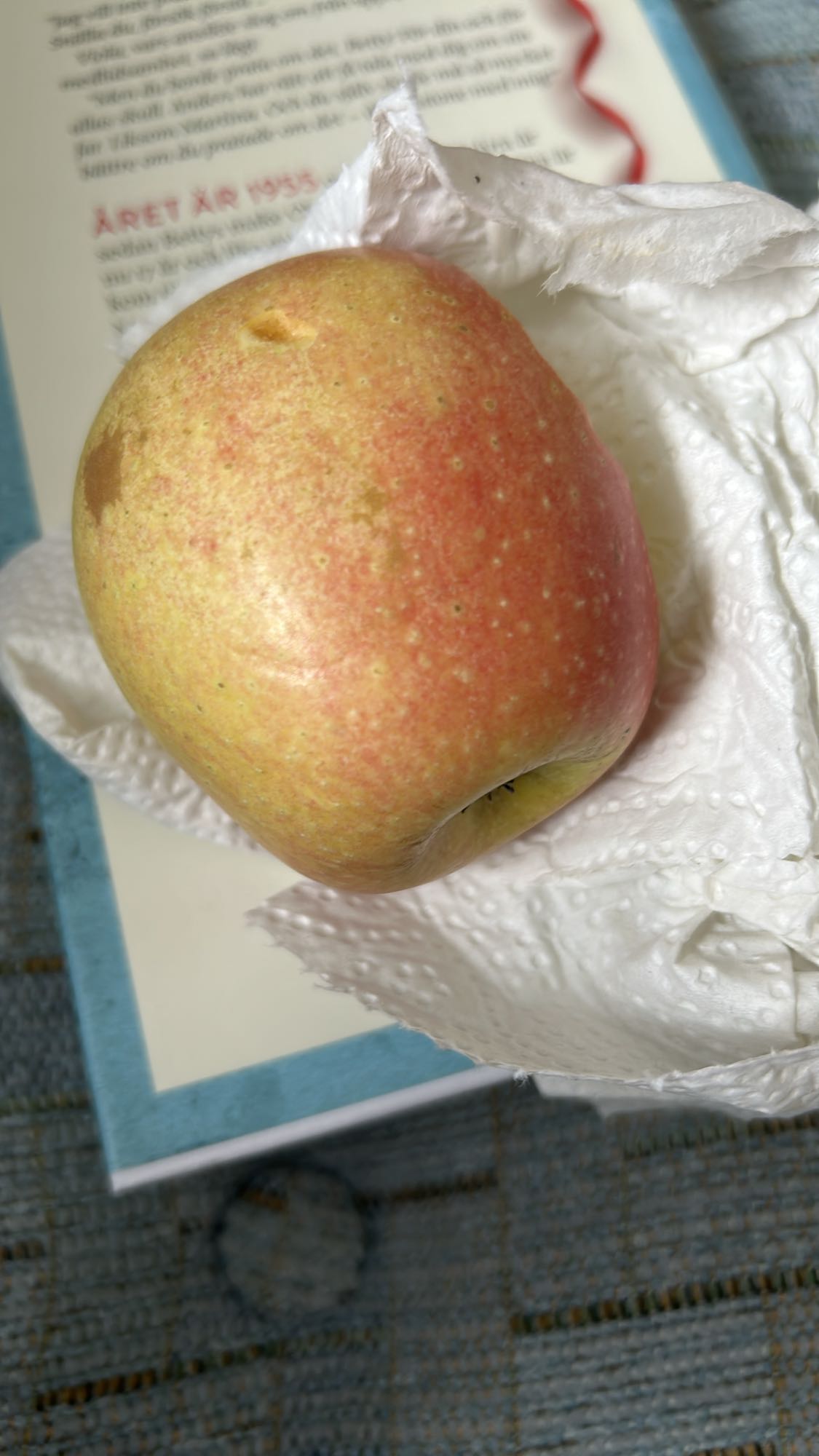 Äpple mellanmål