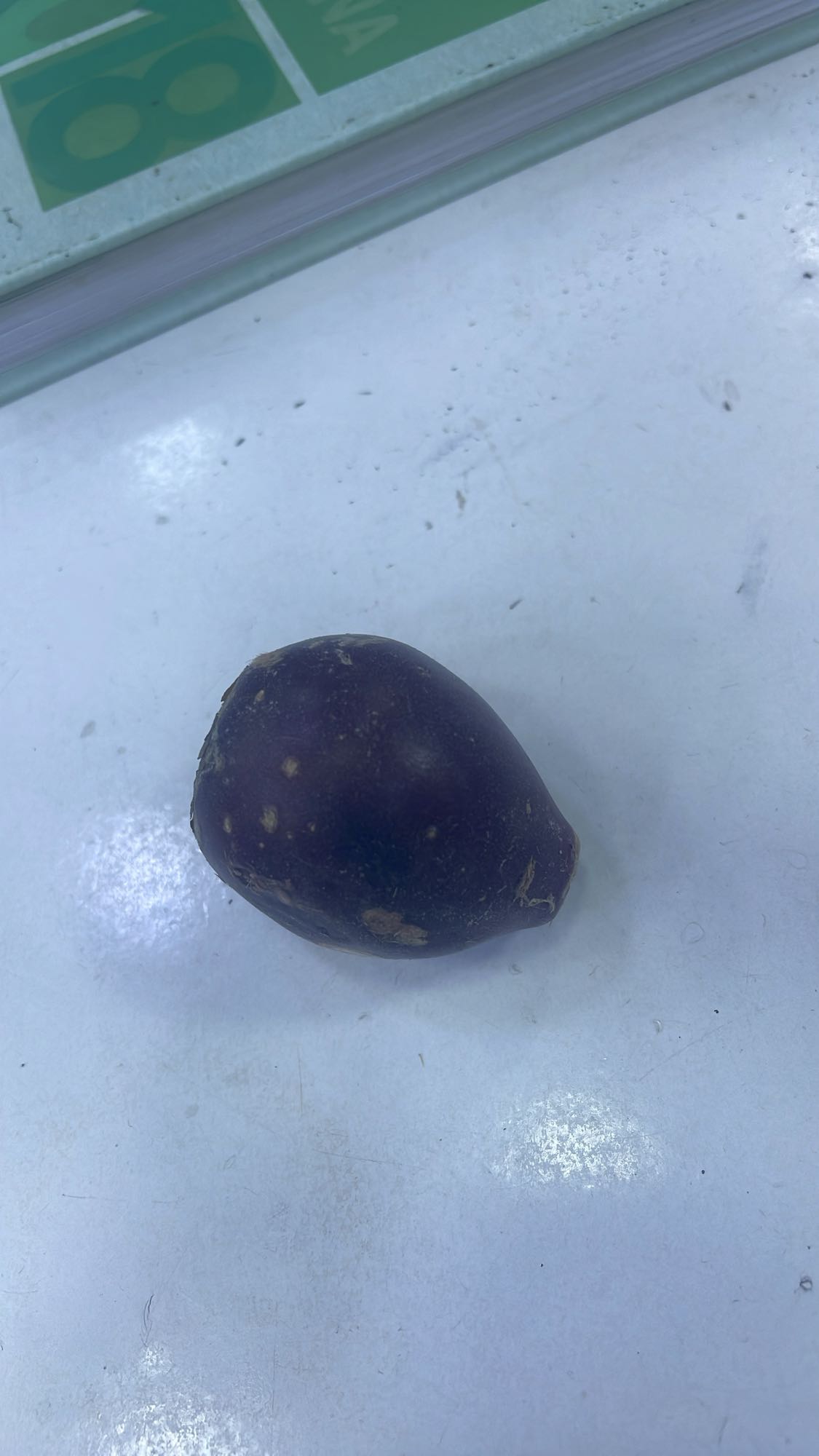 Pomme de terre violette