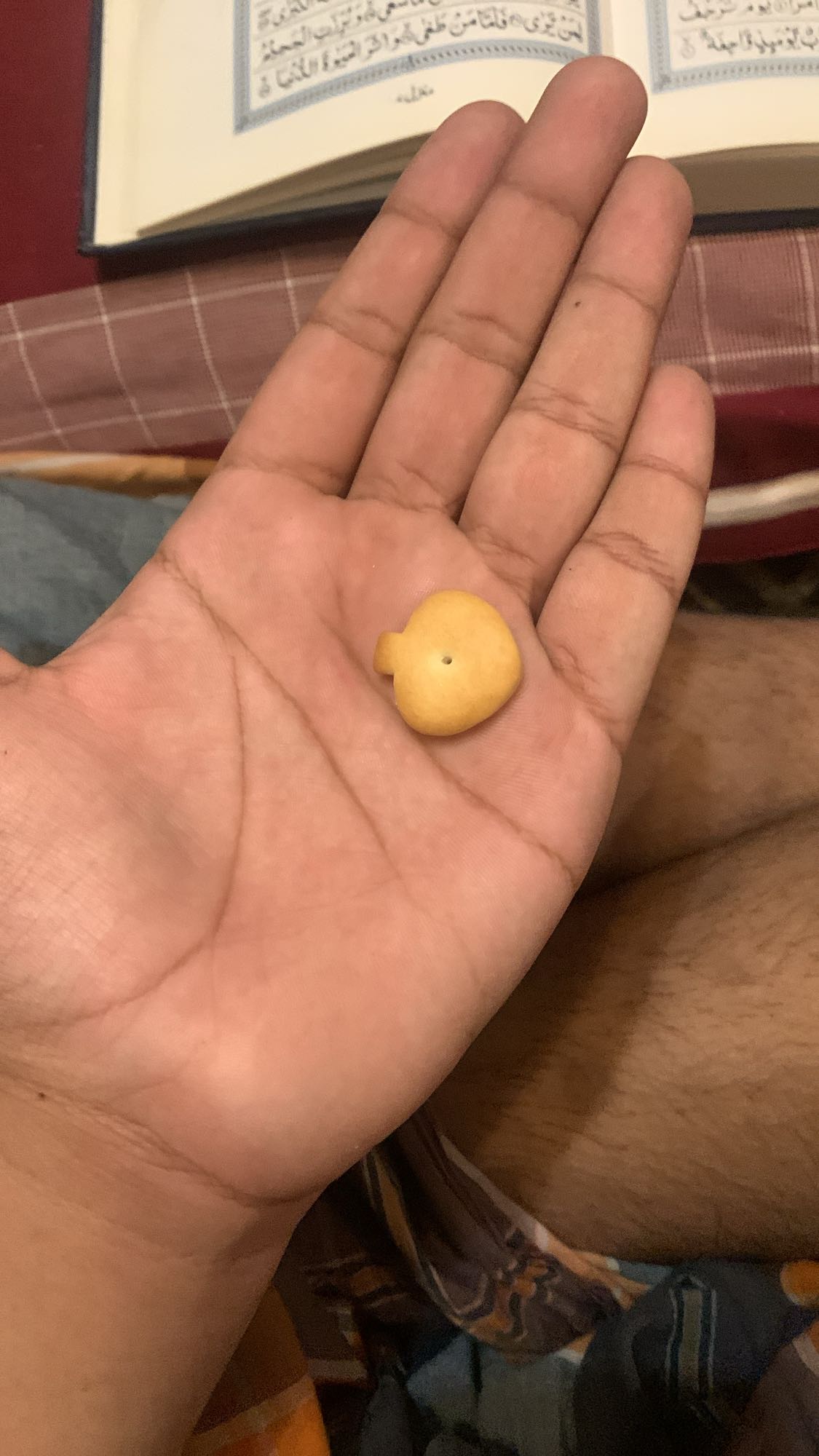 Single goldfish cracker