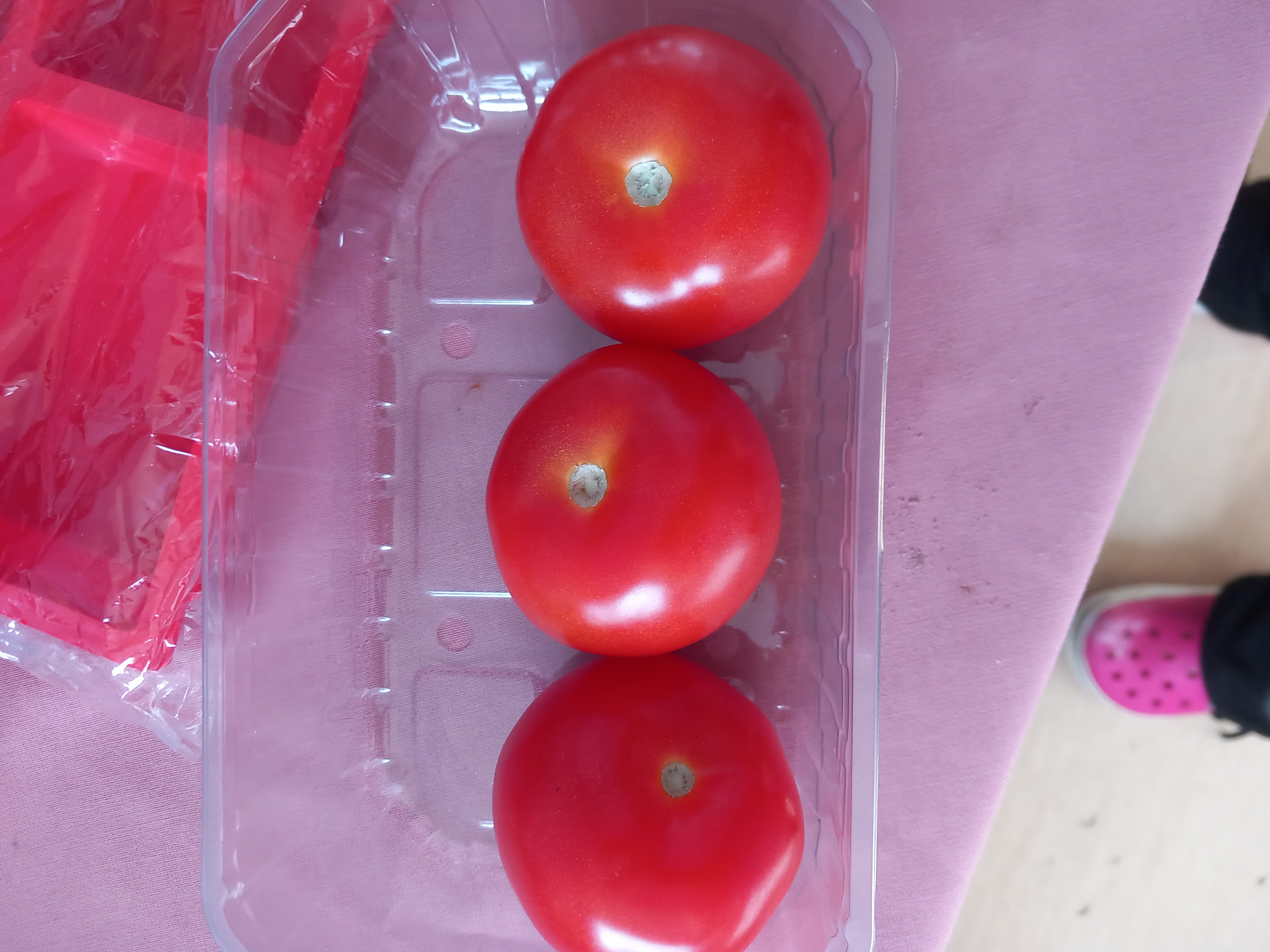 Tomates frescos