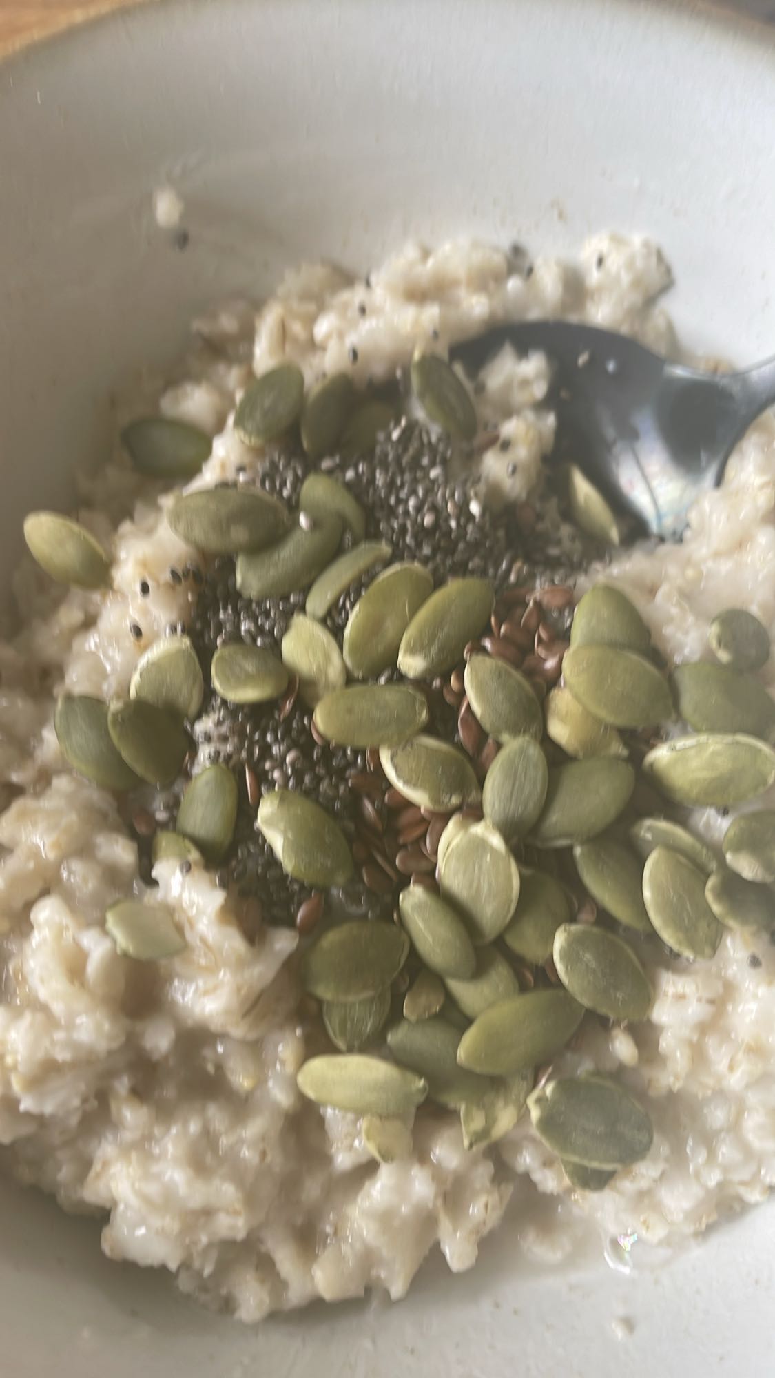 Havregrynsgröt med frön