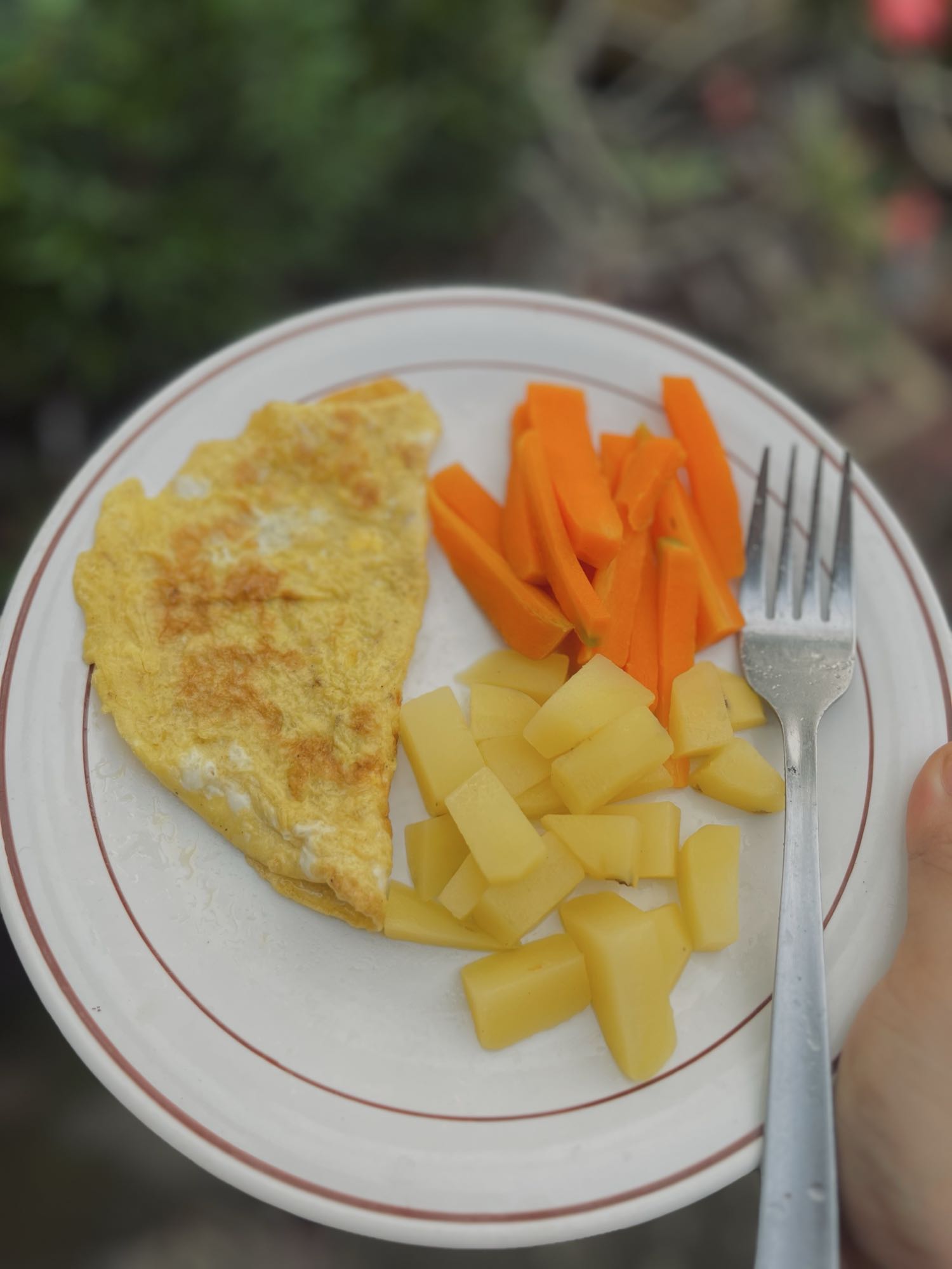 Telur dan sayur rebus