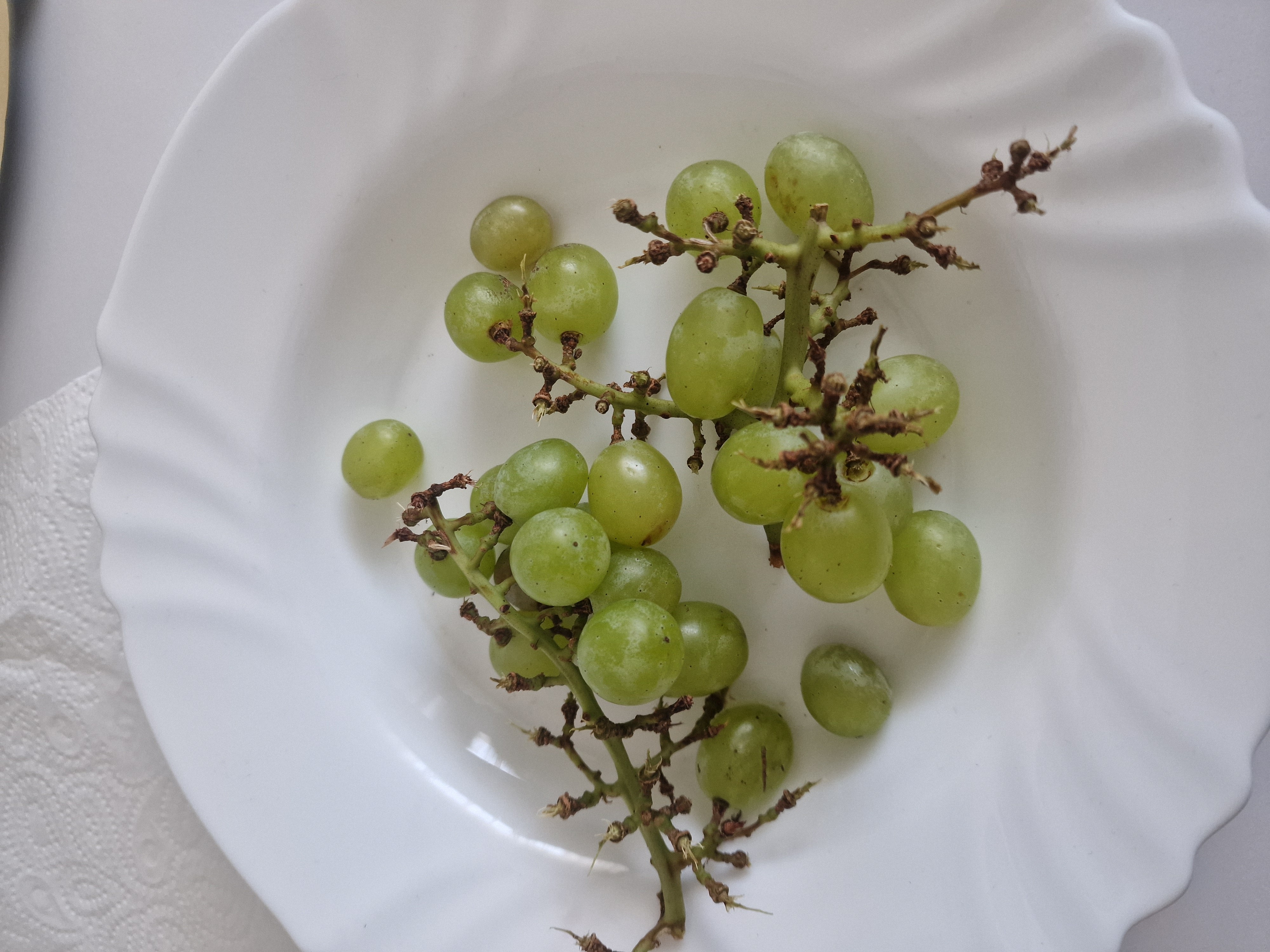 Green Grapes Snack