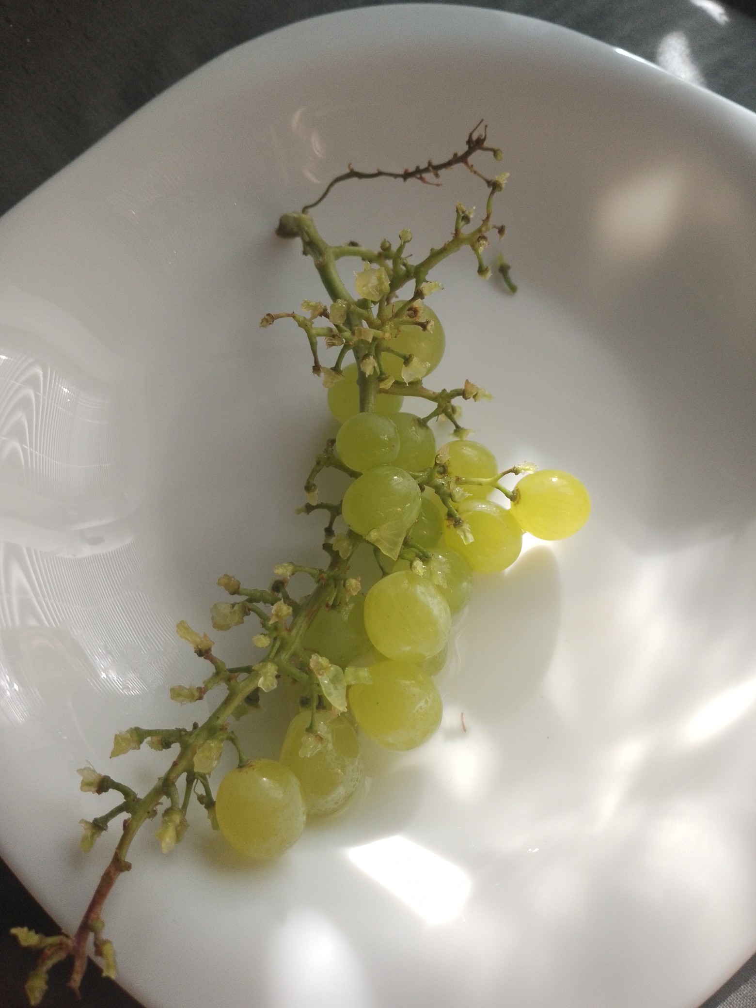 Green Grapes Snack