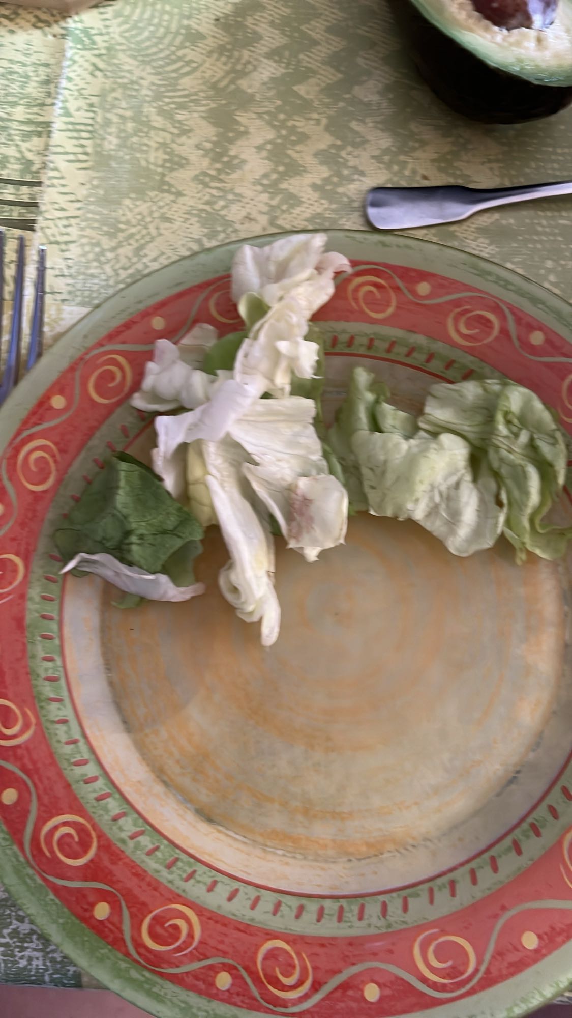 Petite salade verte