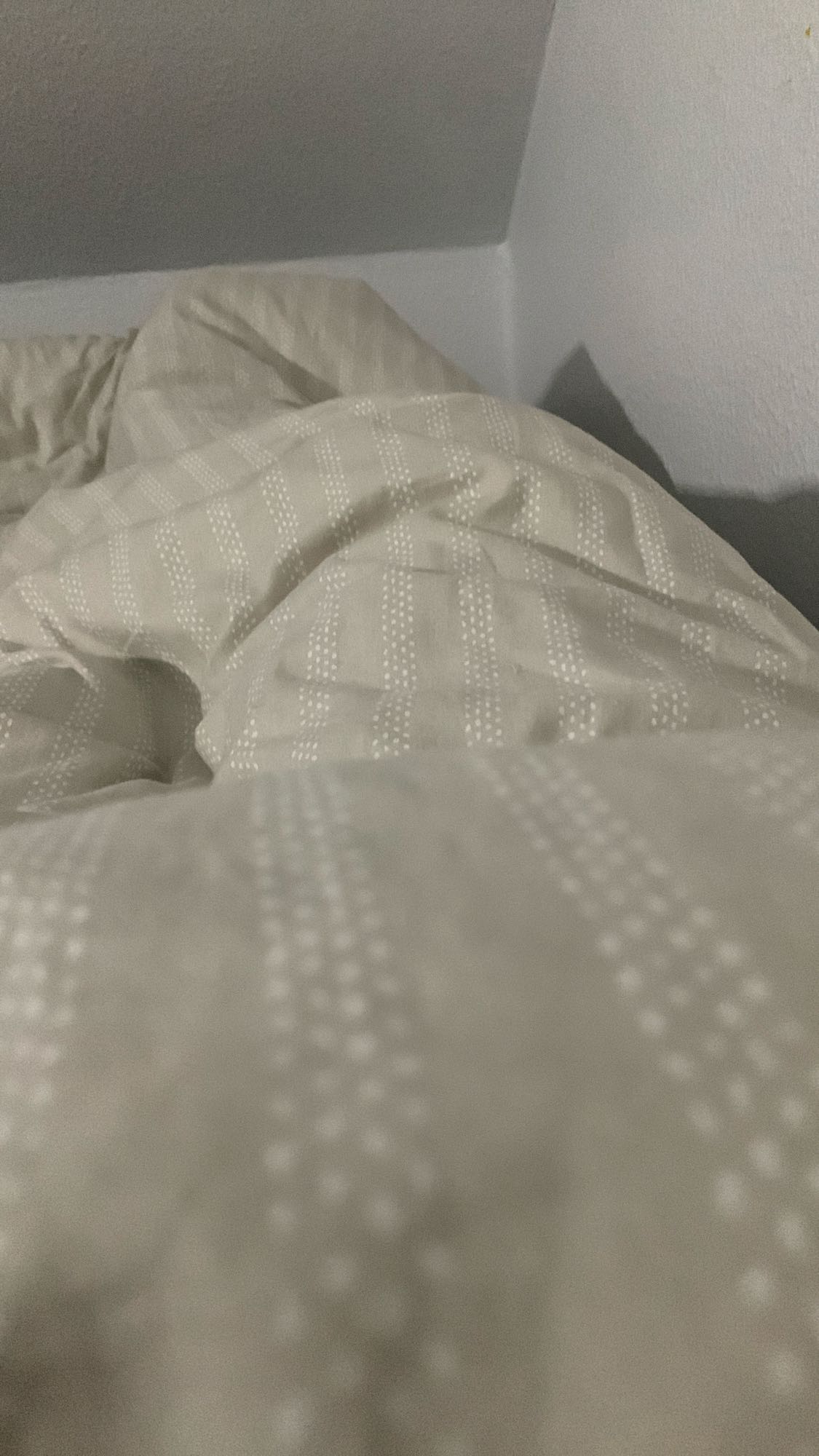 Aucun aliment visible