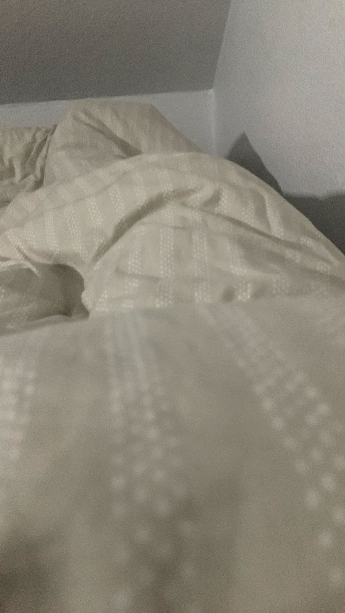 Aucun aliment visible