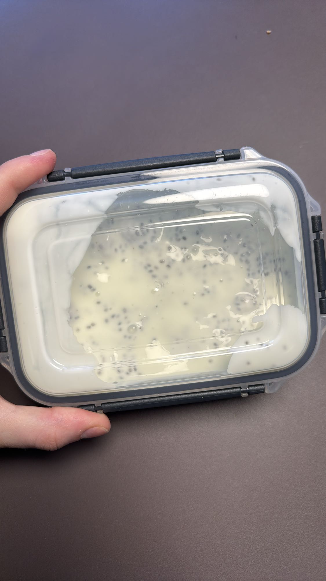 Fettarmer Naturjogurth mit Himbeeren und Chiasamen