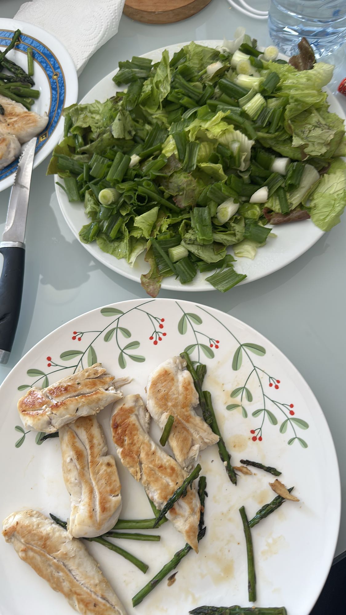 Pollo con ensalada verde