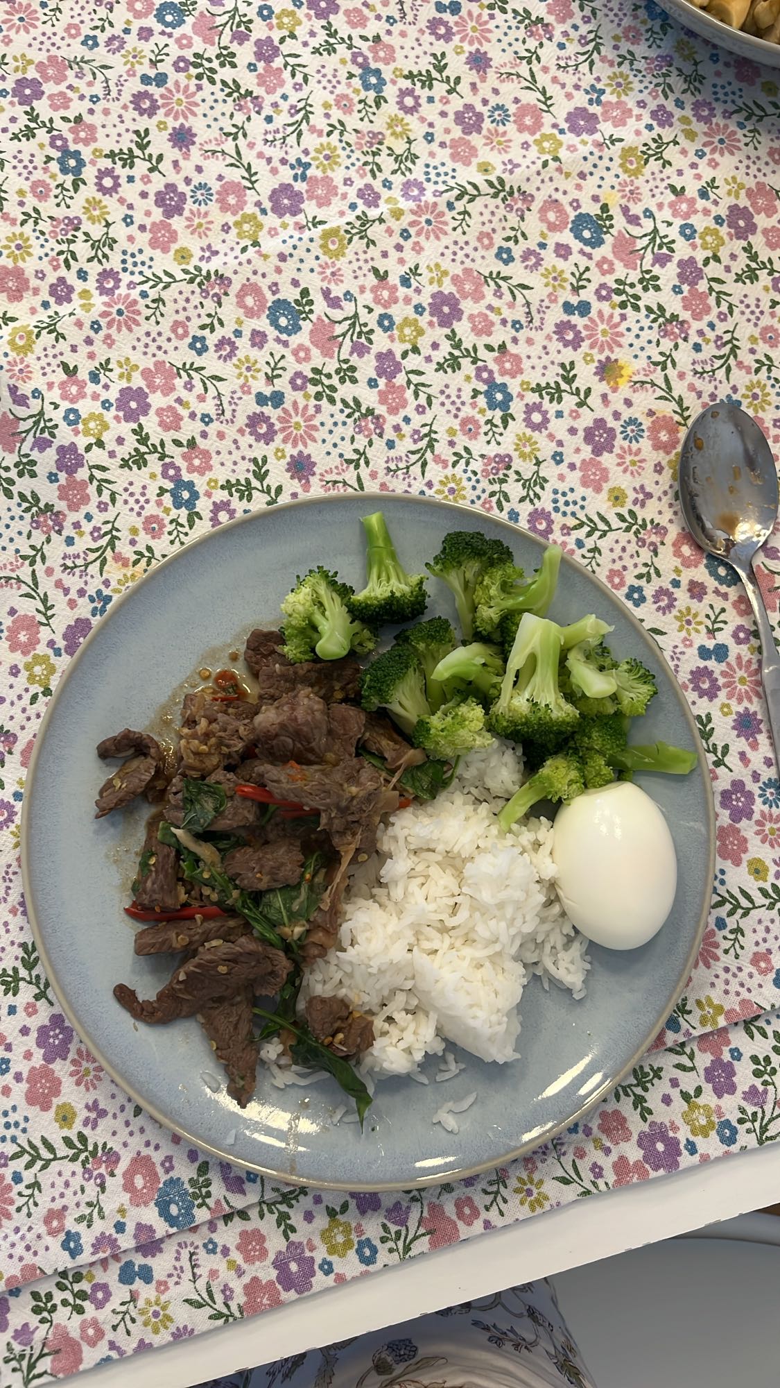 Beef rice with egg