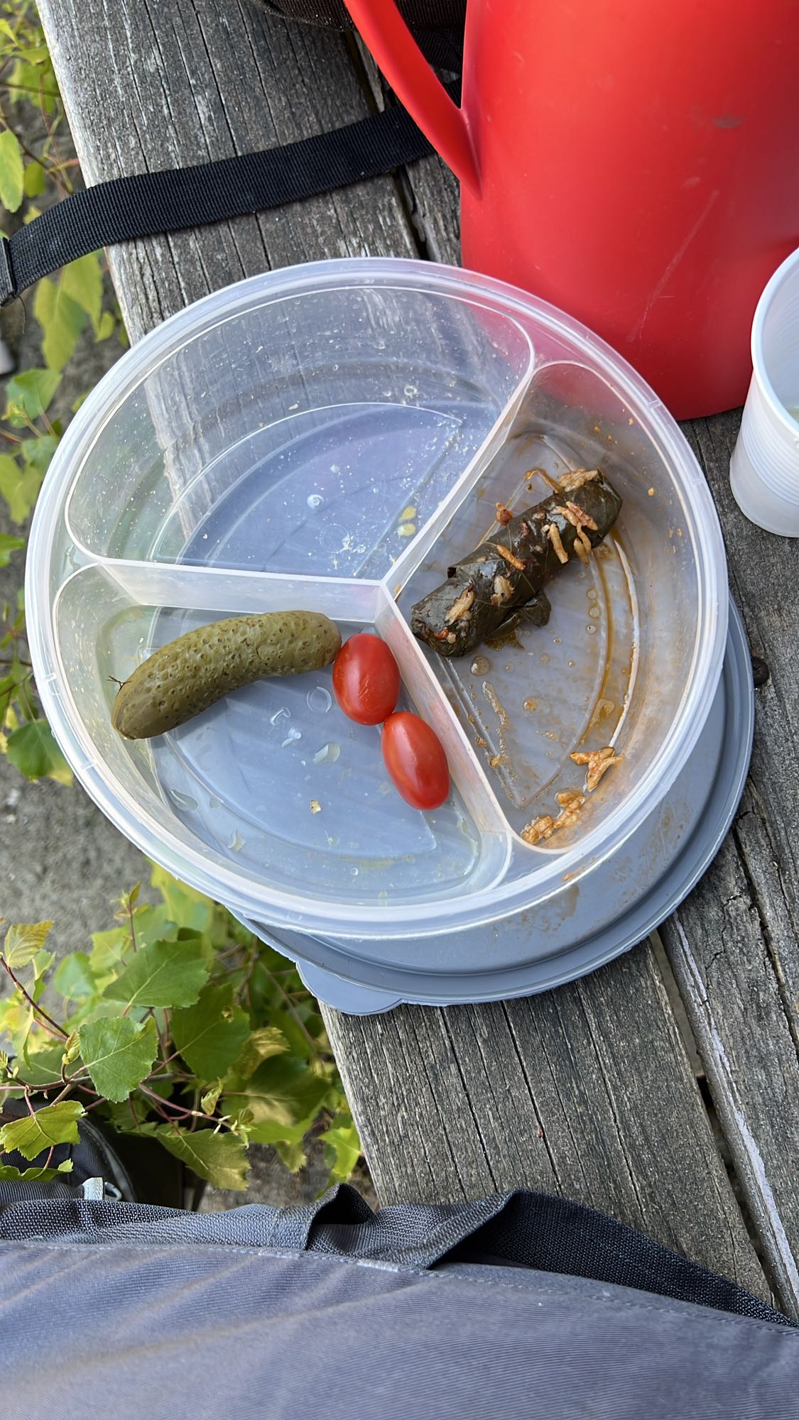 وجبة خفيفة نباتية