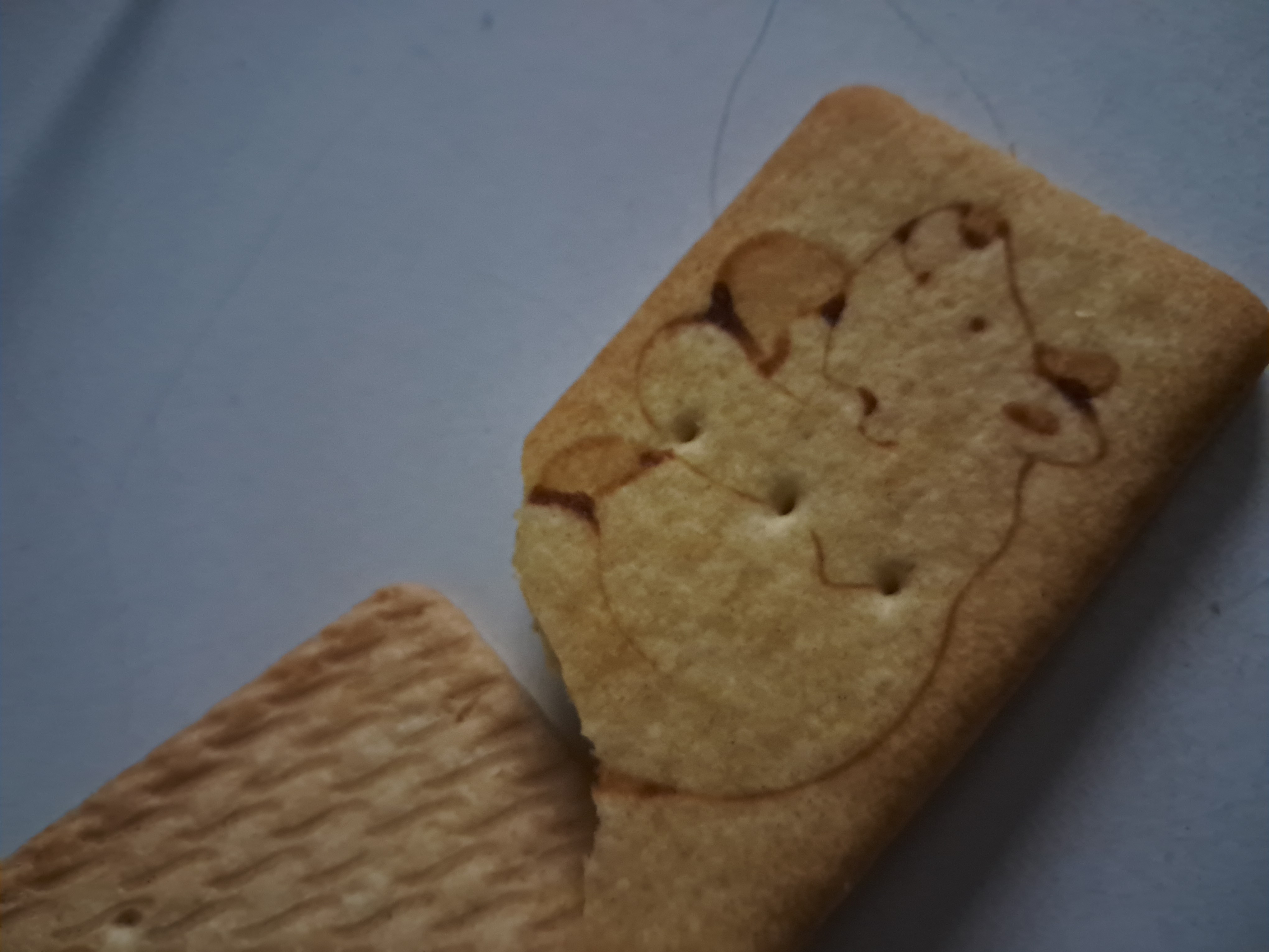 Animal shaped biscuit