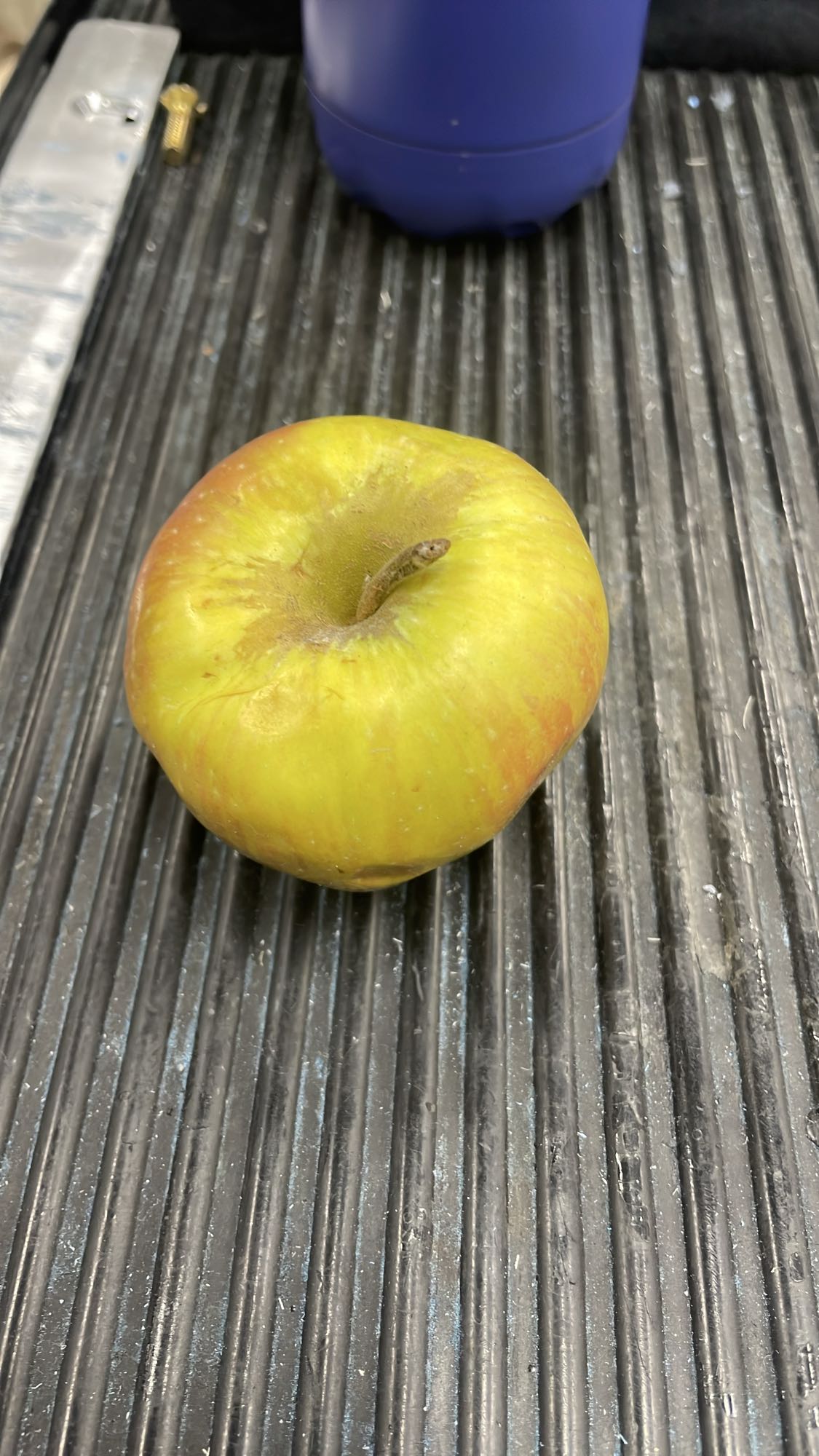 Äpple