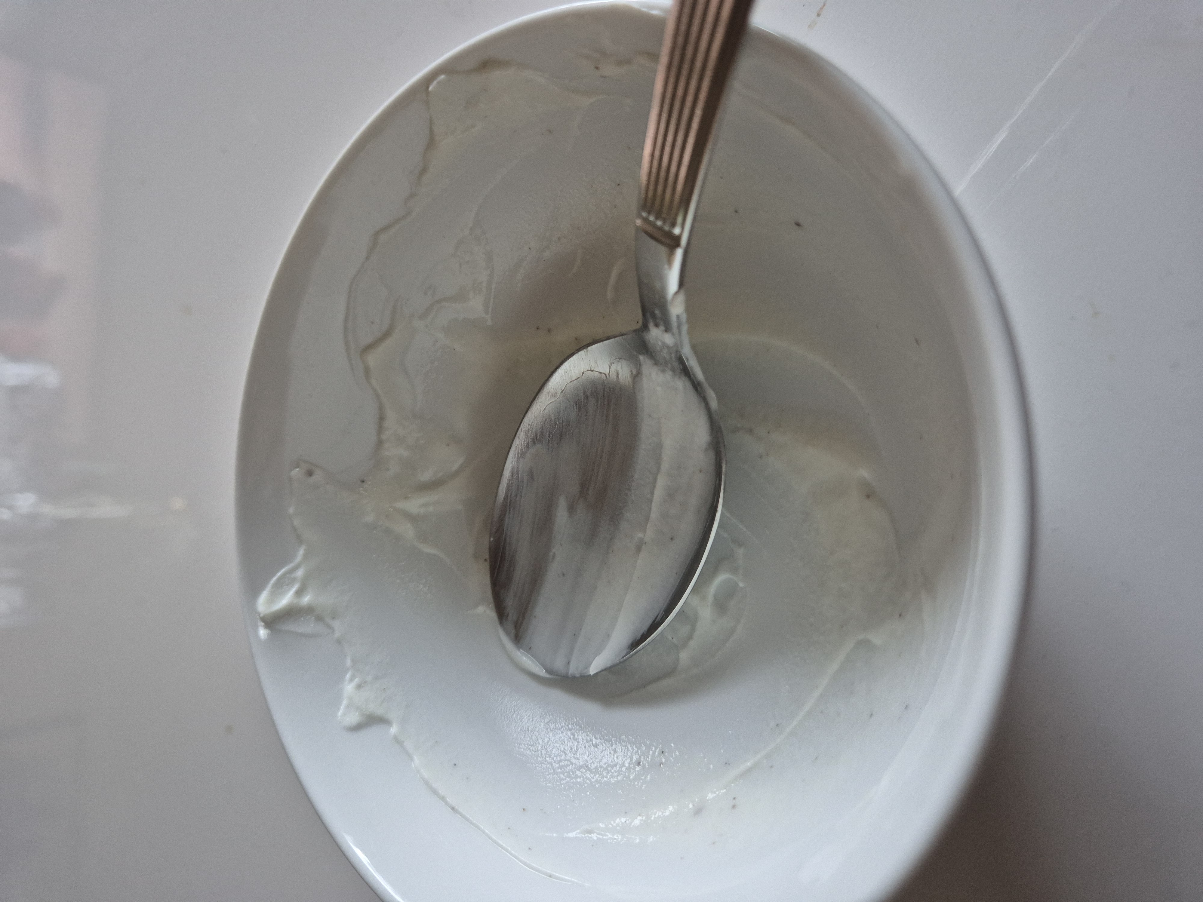 Plain Yogurt Remnants