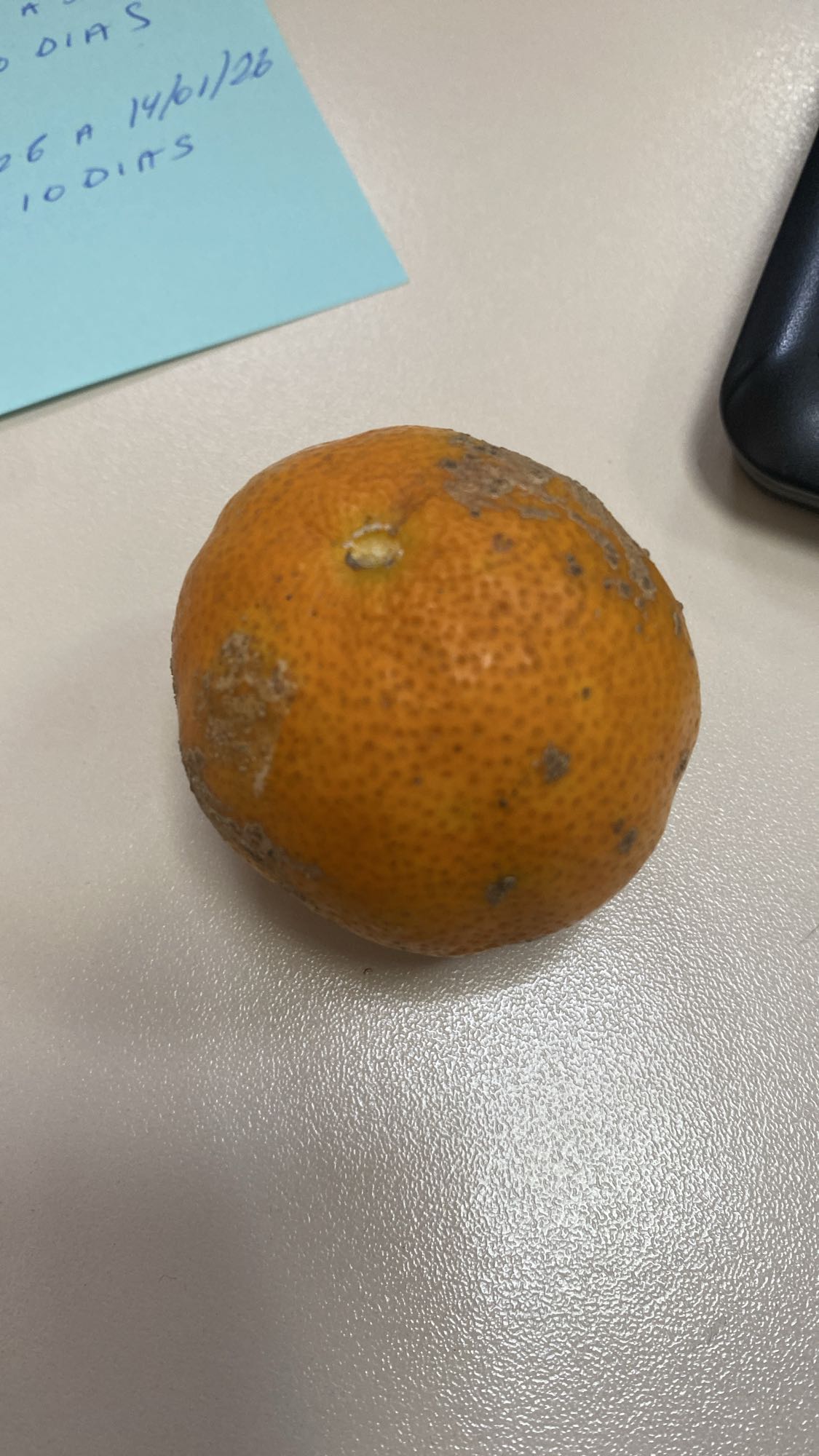 Lanche com tangerina