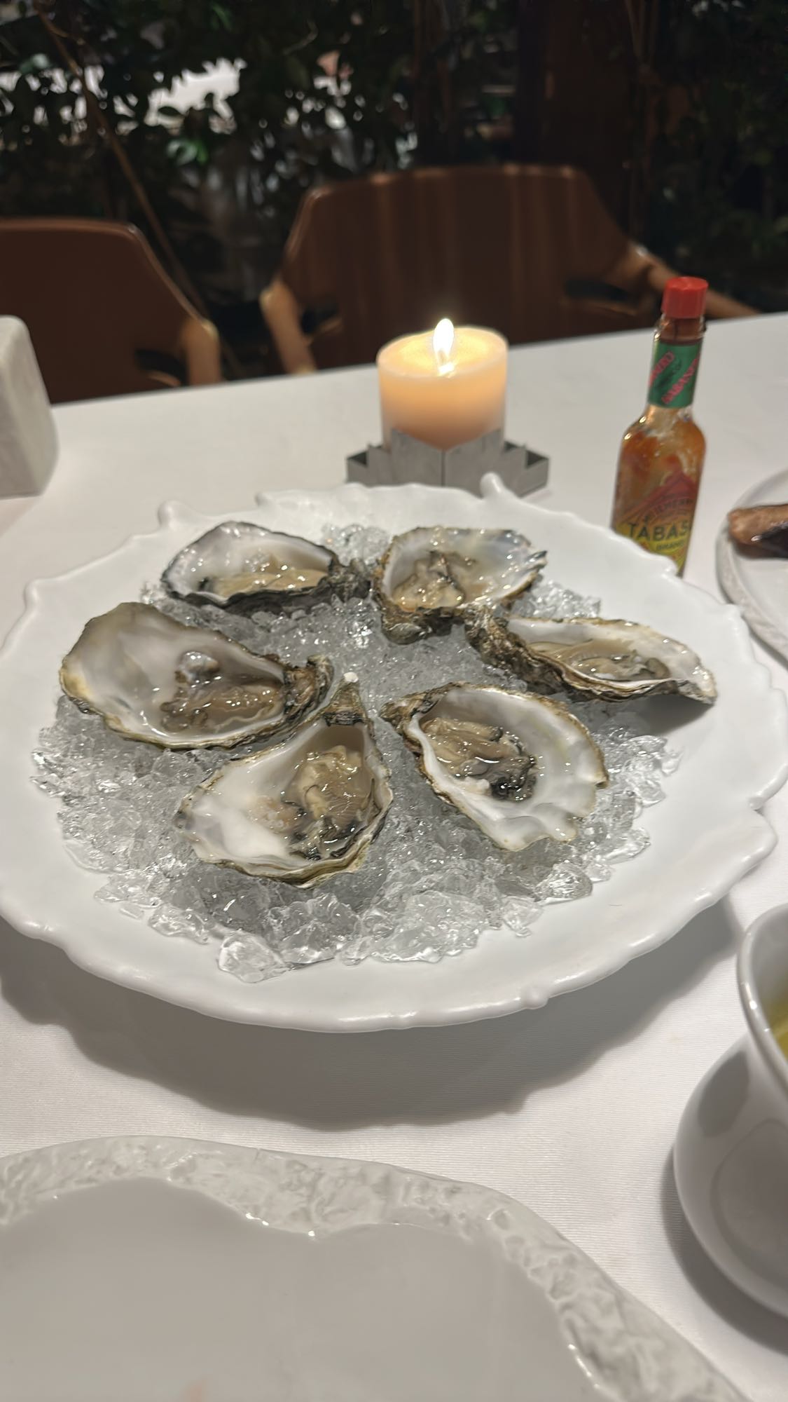 Fresh Oysters on Ice