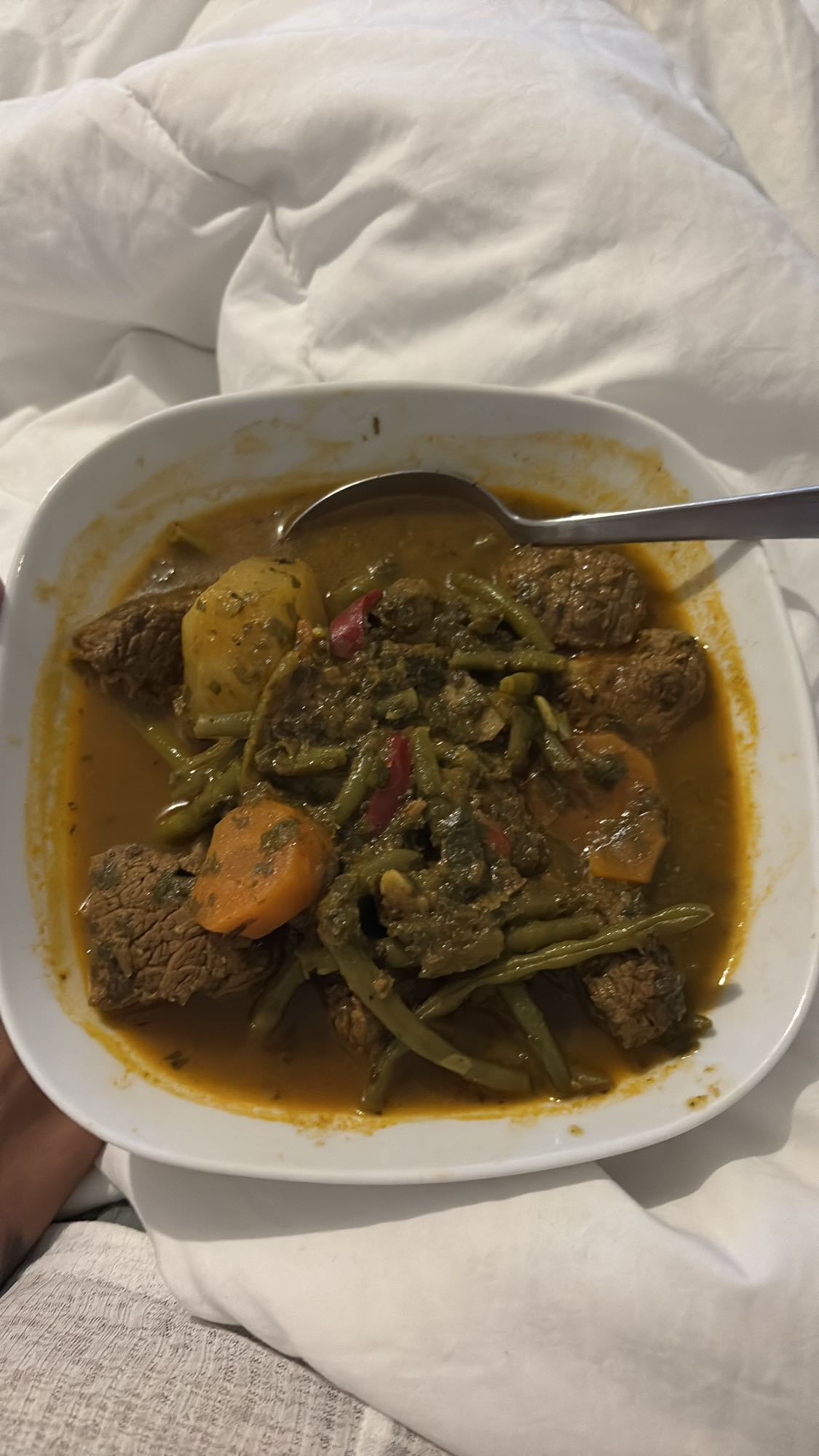 Ragoût de boeuf aux légumes