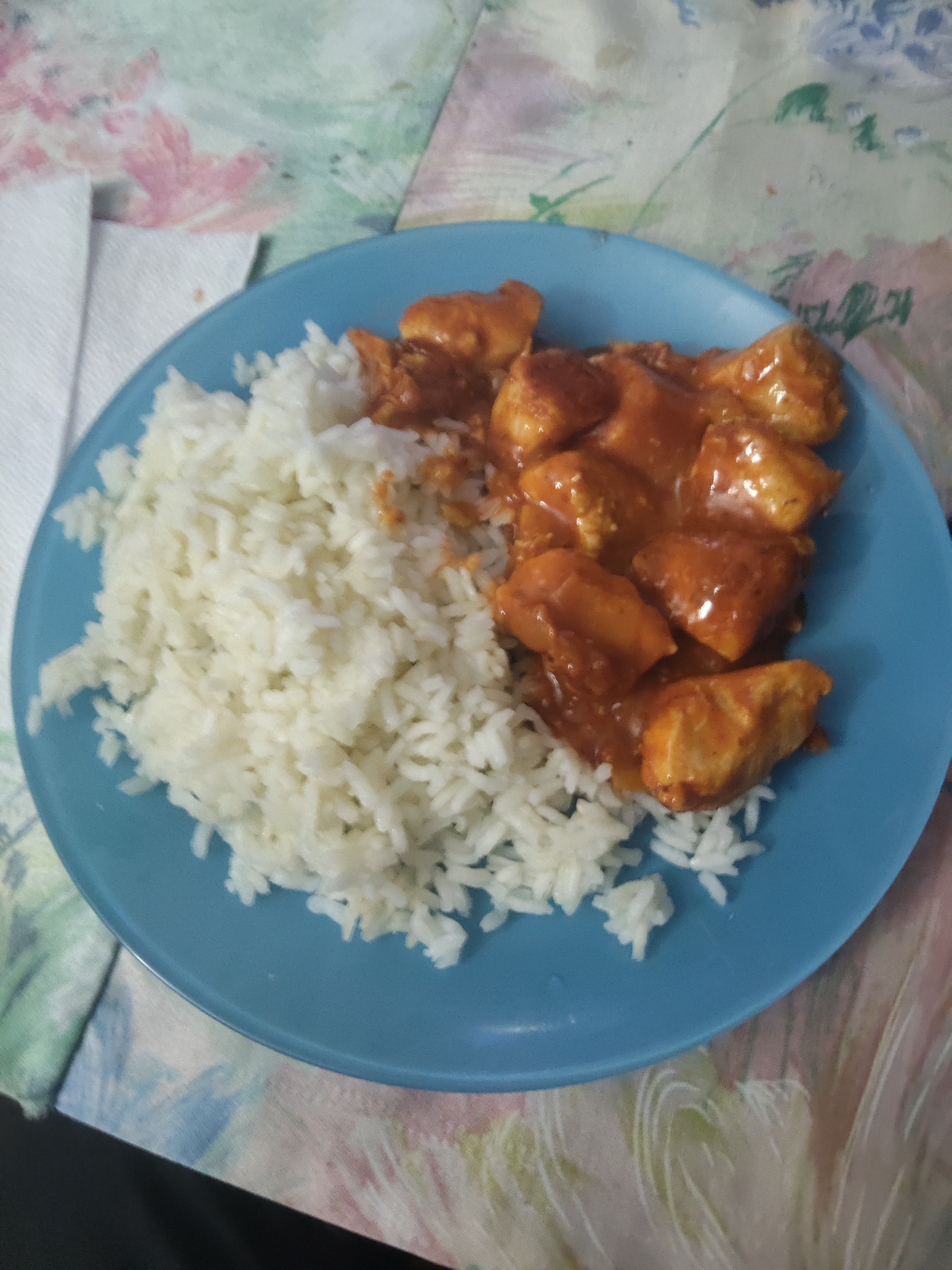 Pollo en salsa con arroz