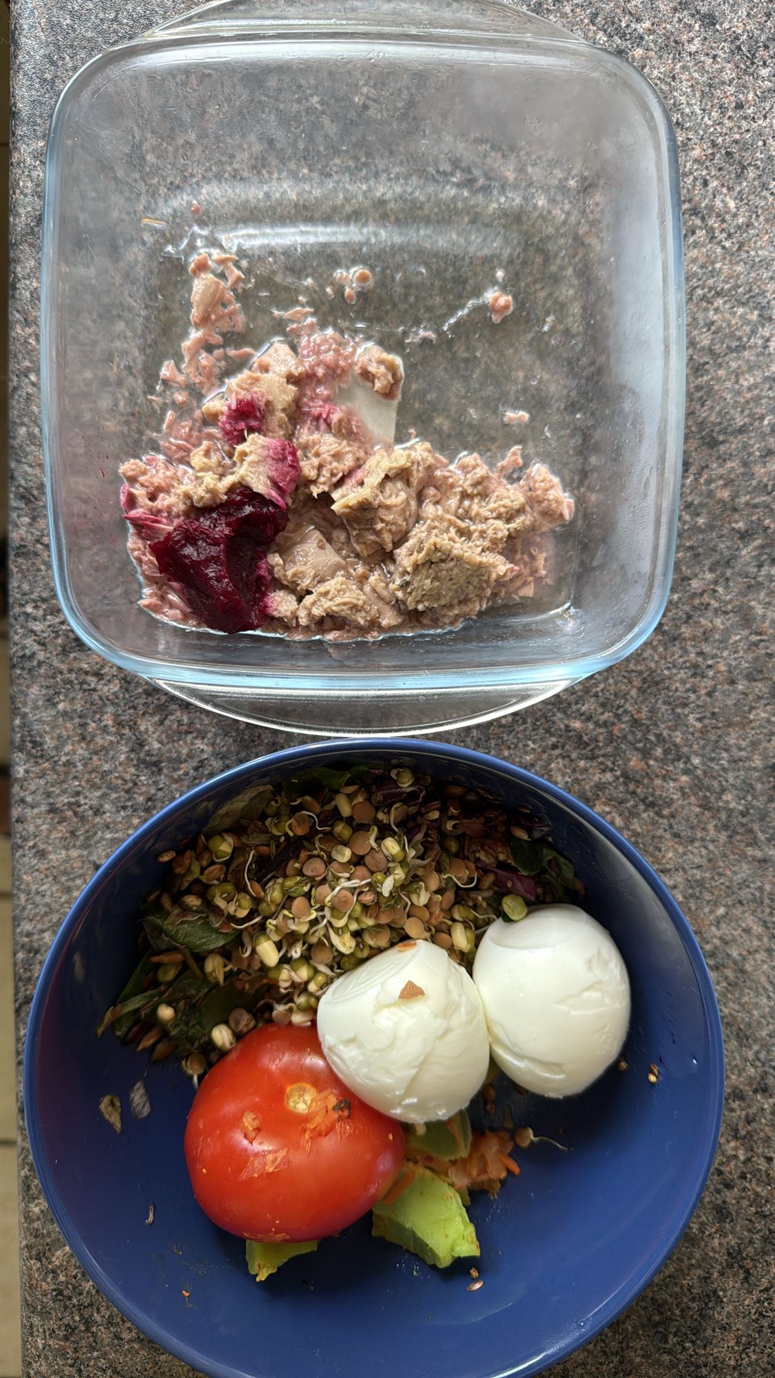 Egg Sprout Salad & Meat