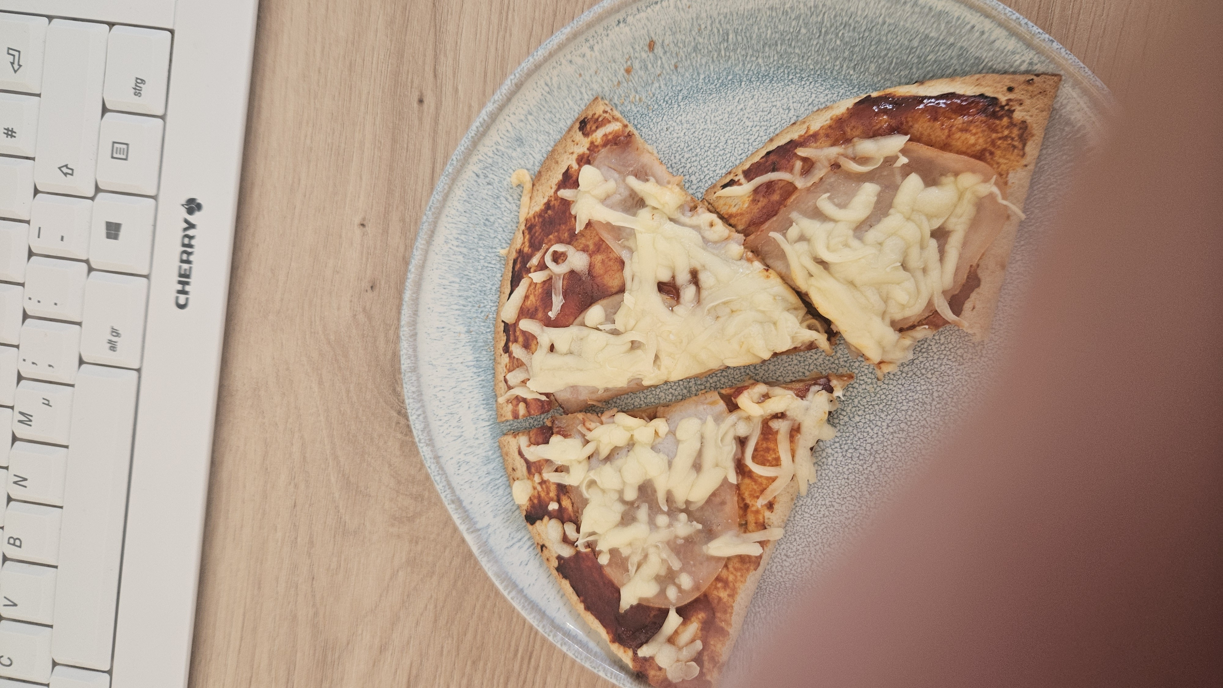 Proteinwrap mit Hähnchen und Light-Käse