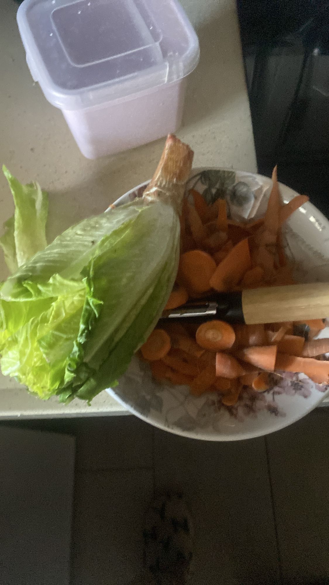 Ensalada de zanahoria y lechuga
