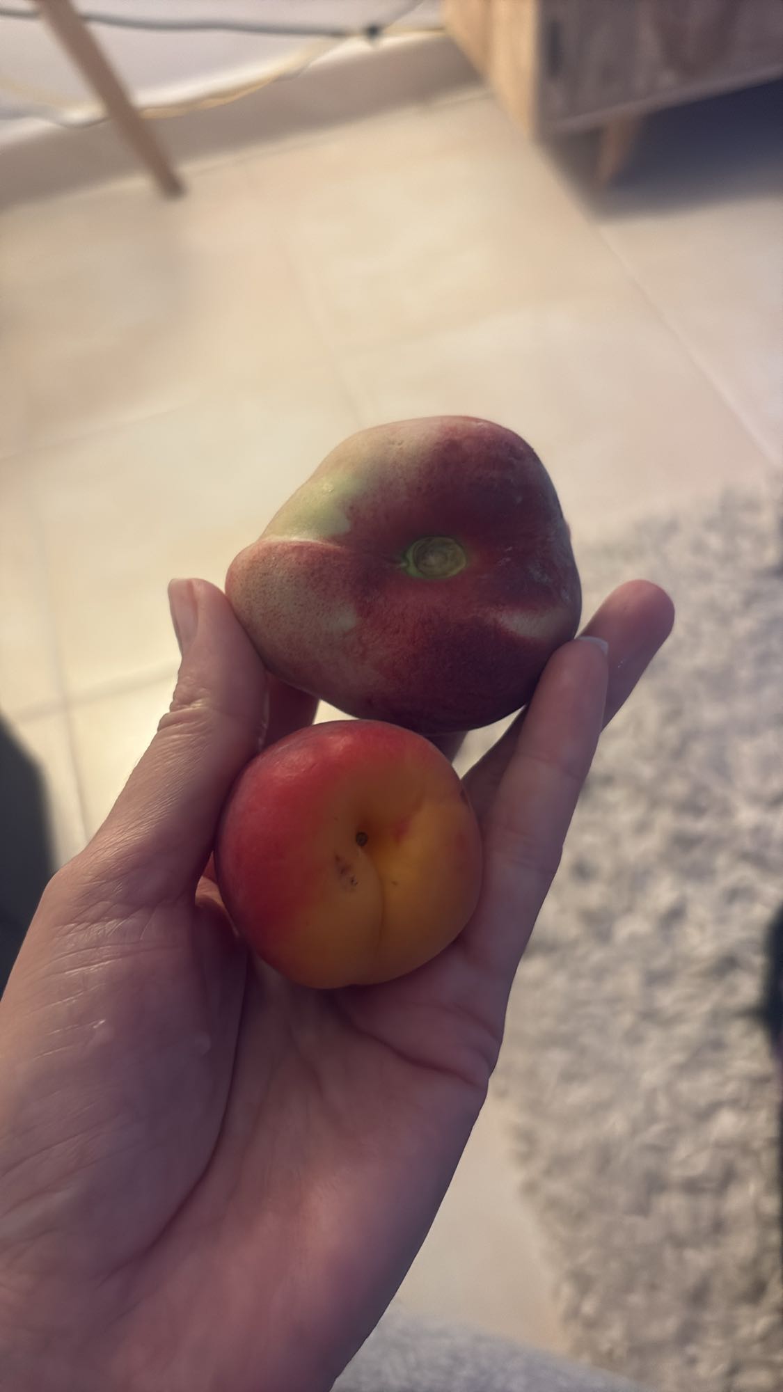 Peach and Apricot Snack