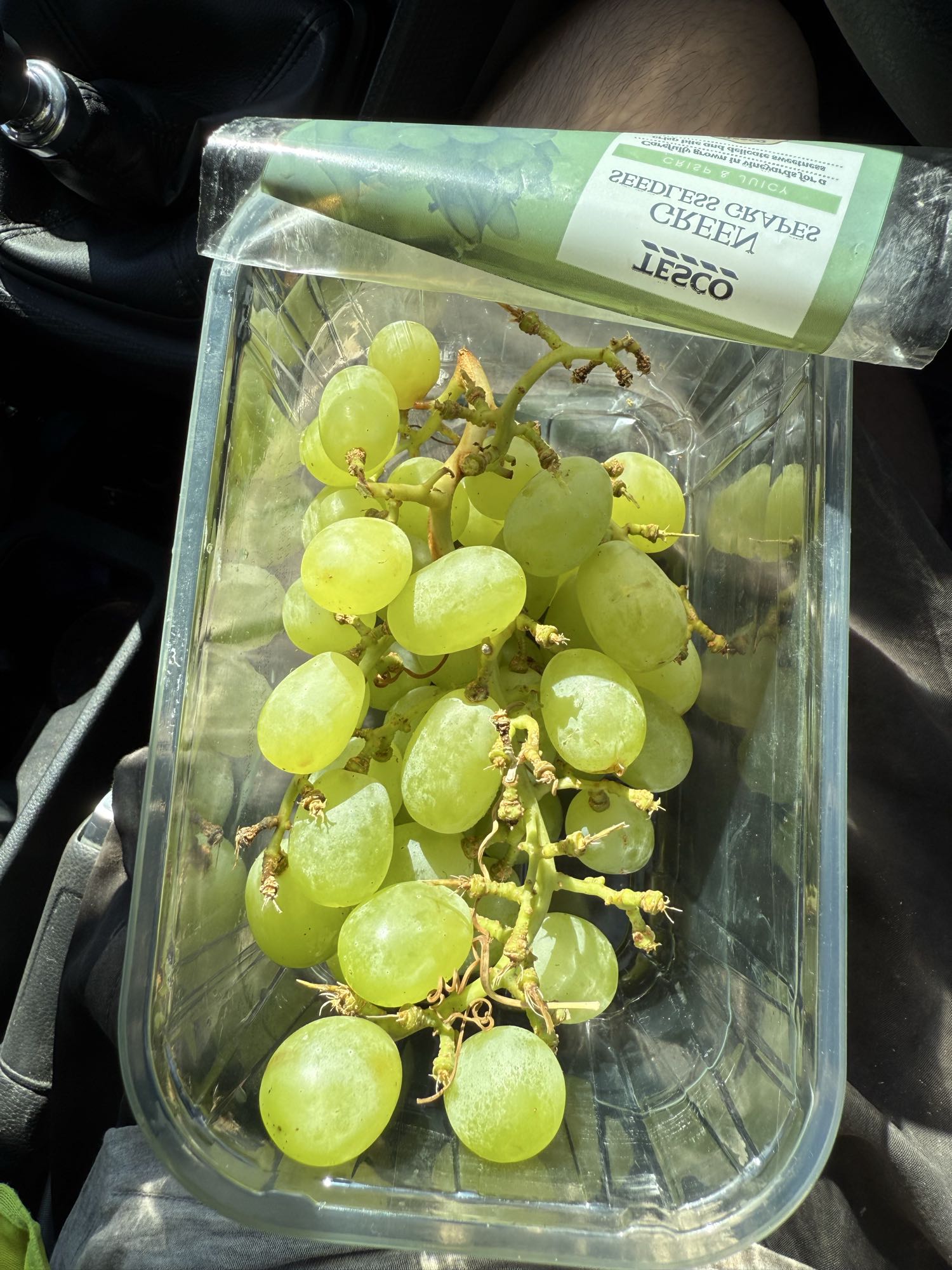 Green seedless grapes