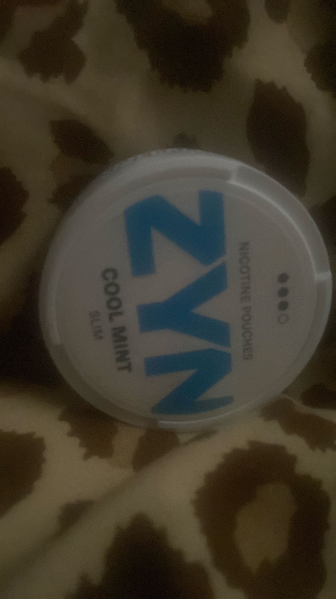 Zyn Cool Mint