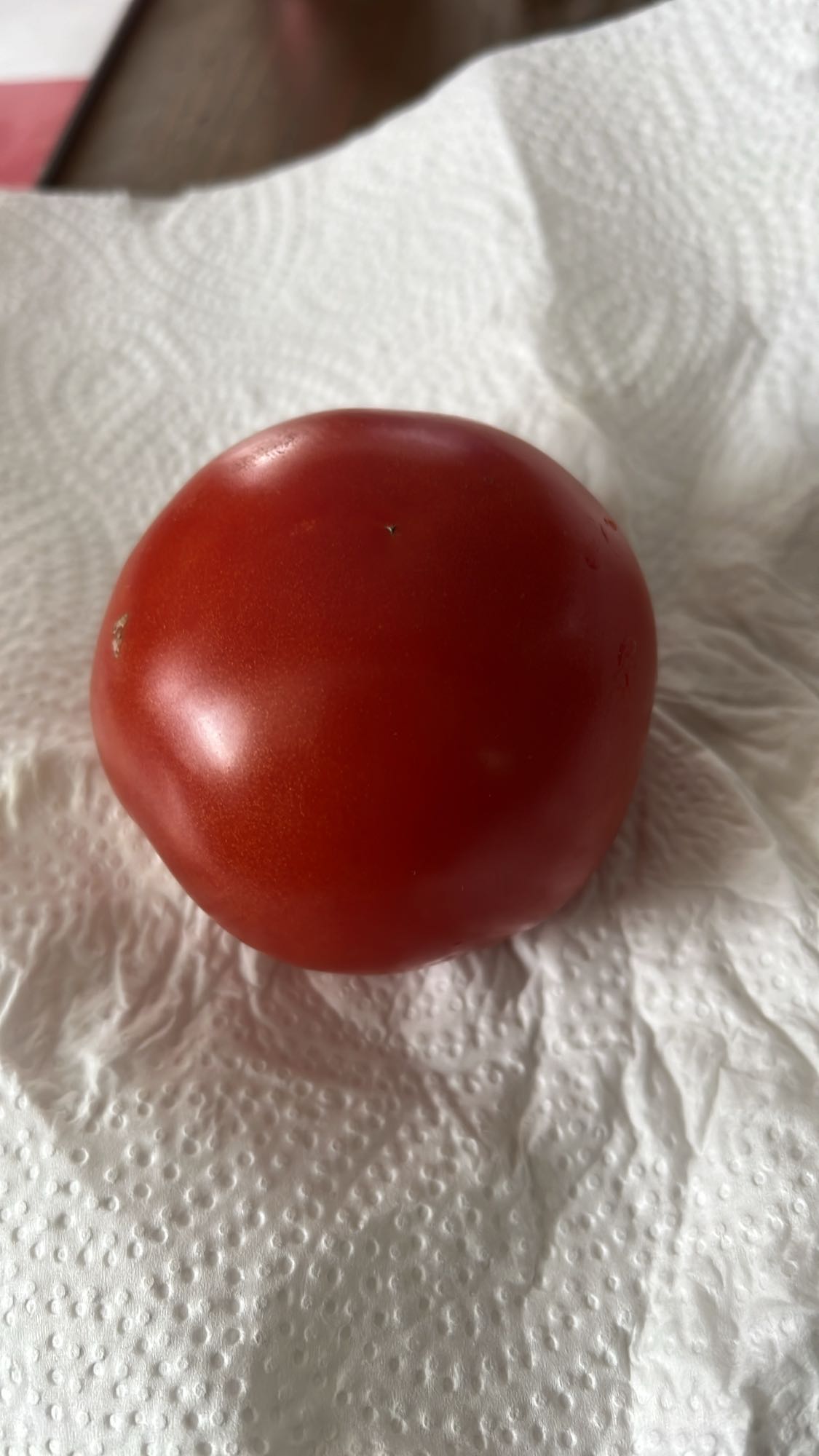 Tomate fresco