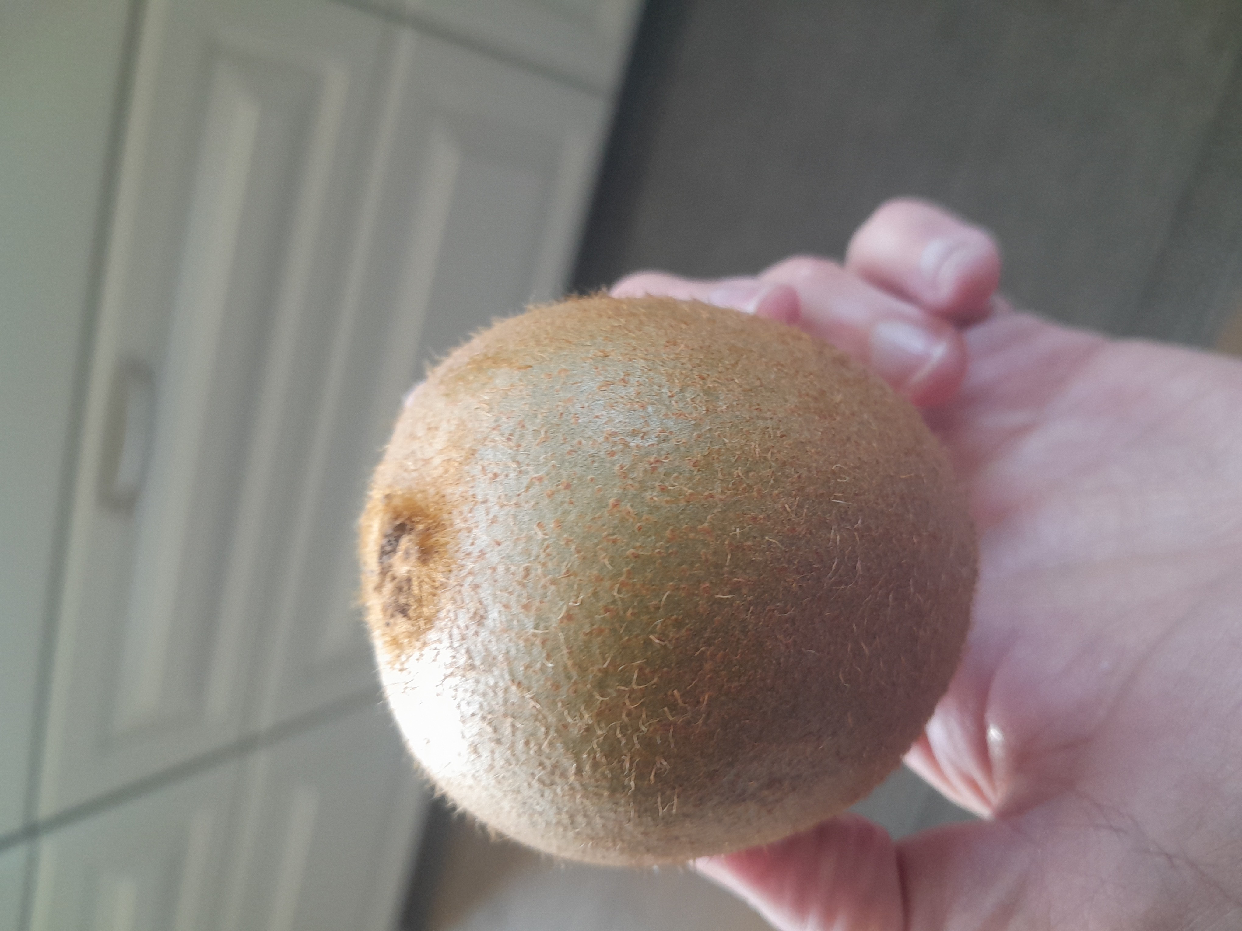 Whole Kiwi Fruit