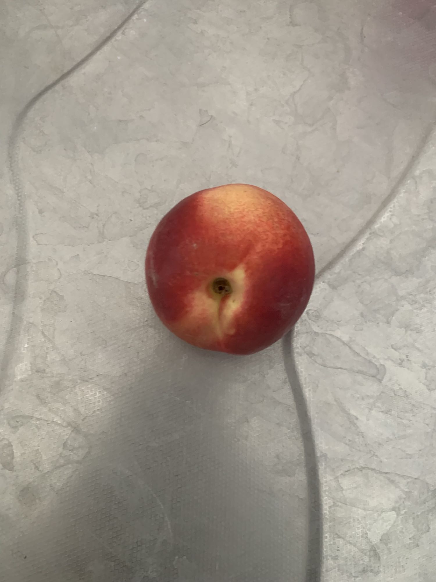 Nectarine fraîche