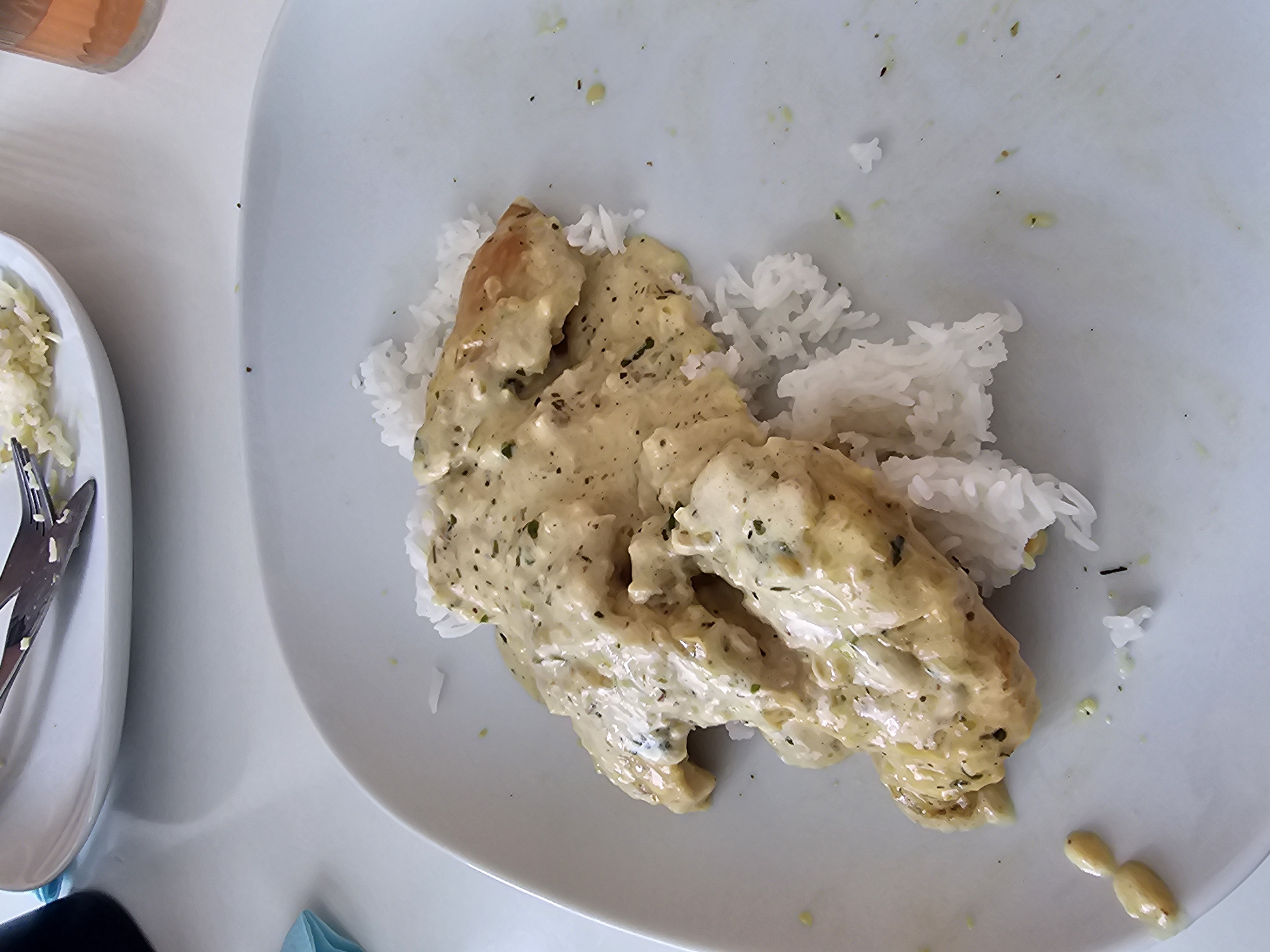 Kyckling med ris och sås